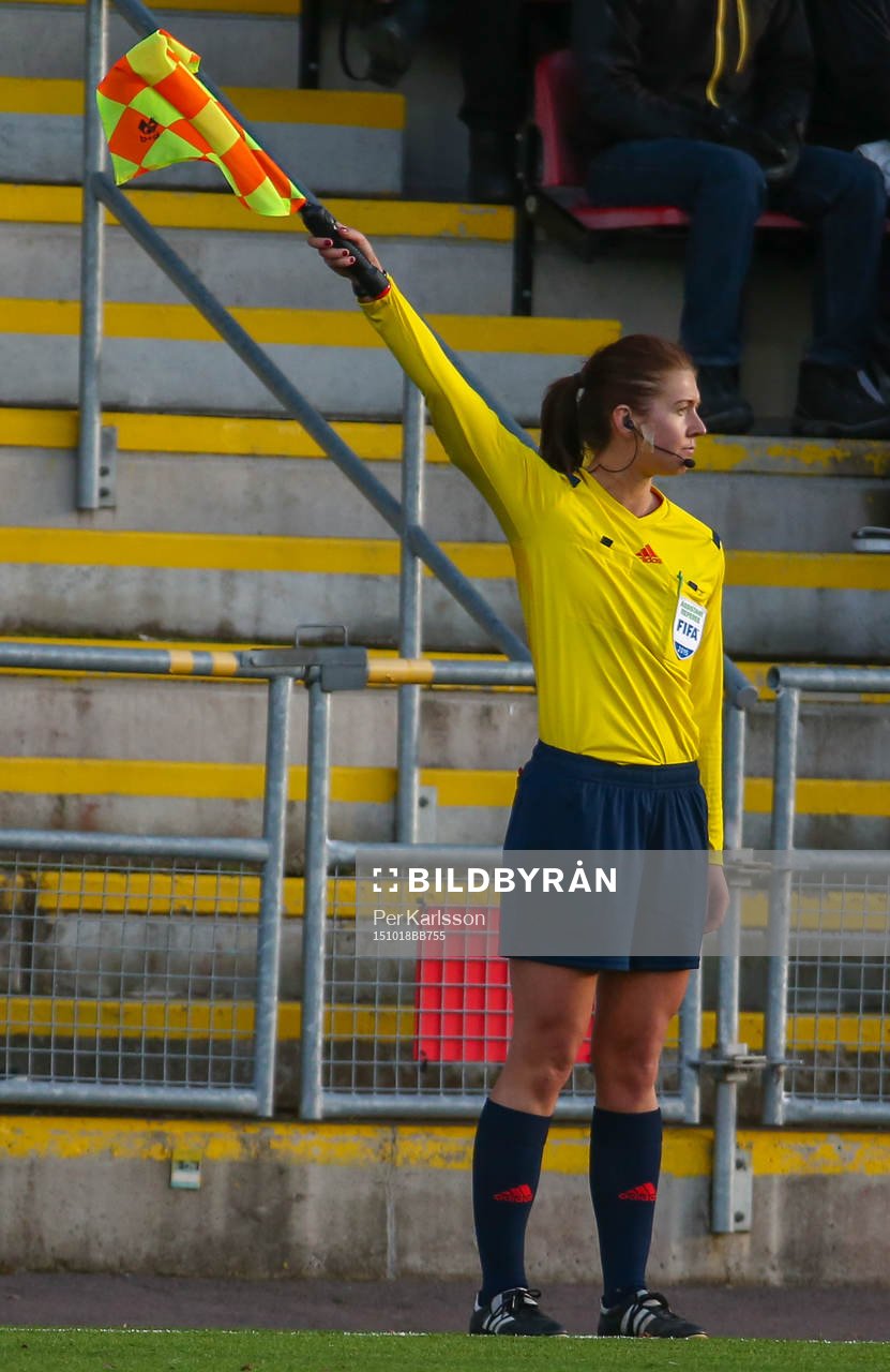 Ass. domare Annika Johansson