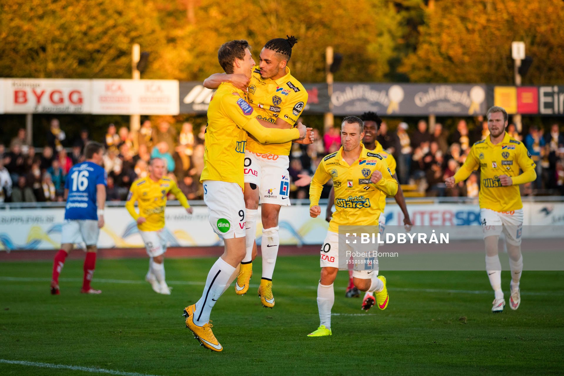 Falkenbergs Gustaf Nilsson och Alexander Jakobsen och Carl Wede jublar under fotbollsmatchen i Allsvenskan mellan Falkenbergs FF och Åtvidaberg den 18 oktober 2015 i Falkenberg.