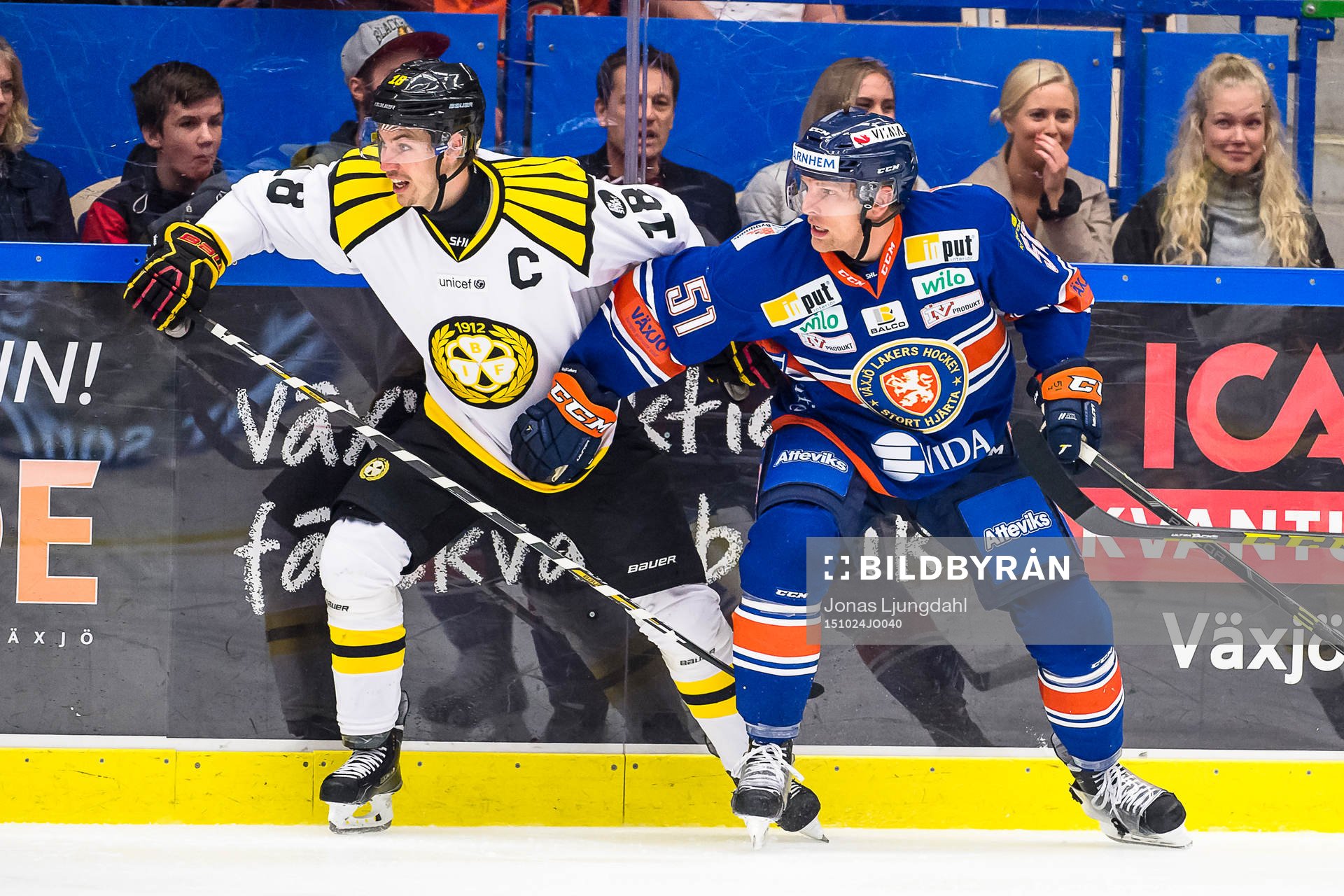 Brynäs Anton Rödin