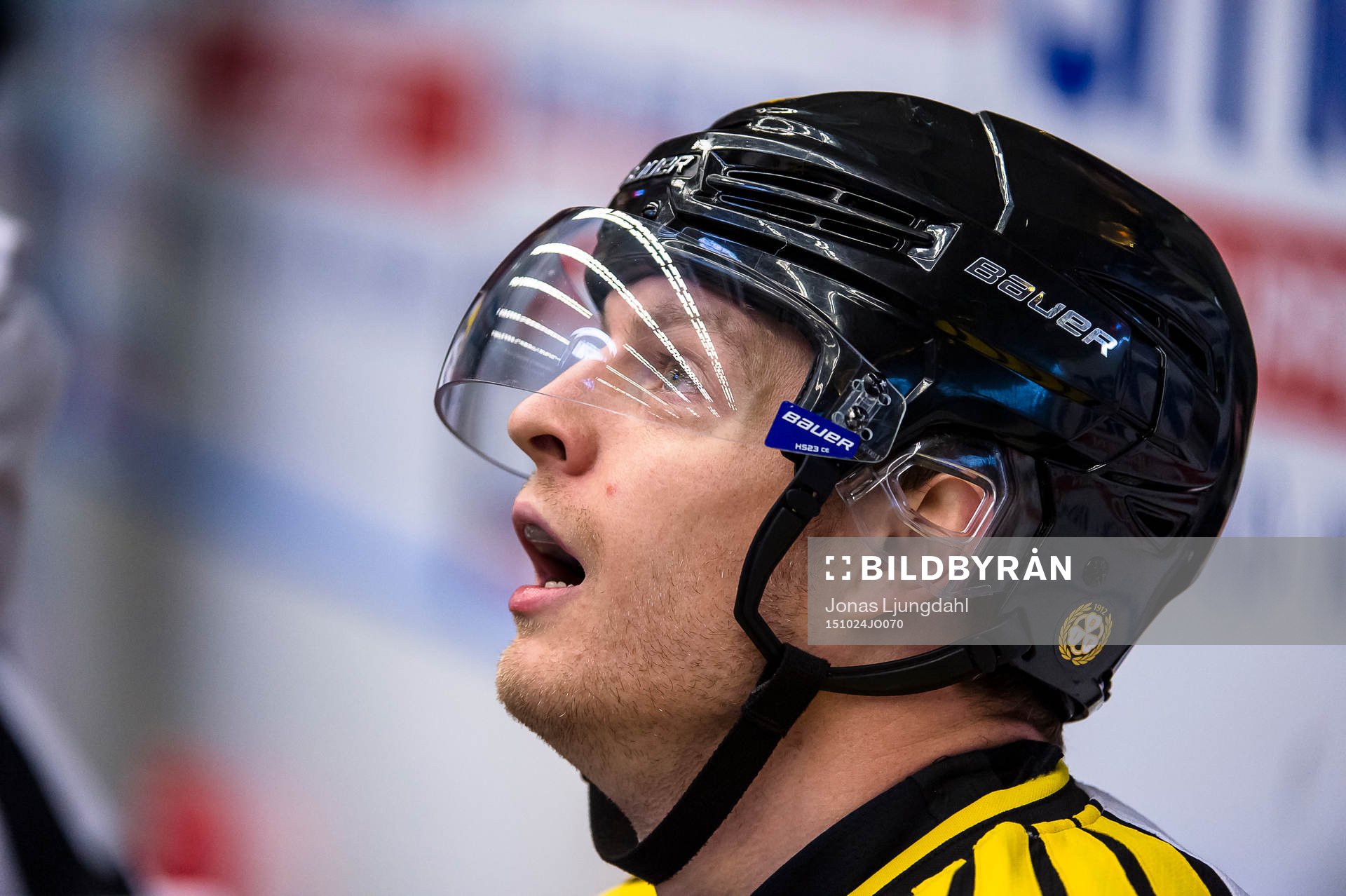 Brynäs Nick Johnson