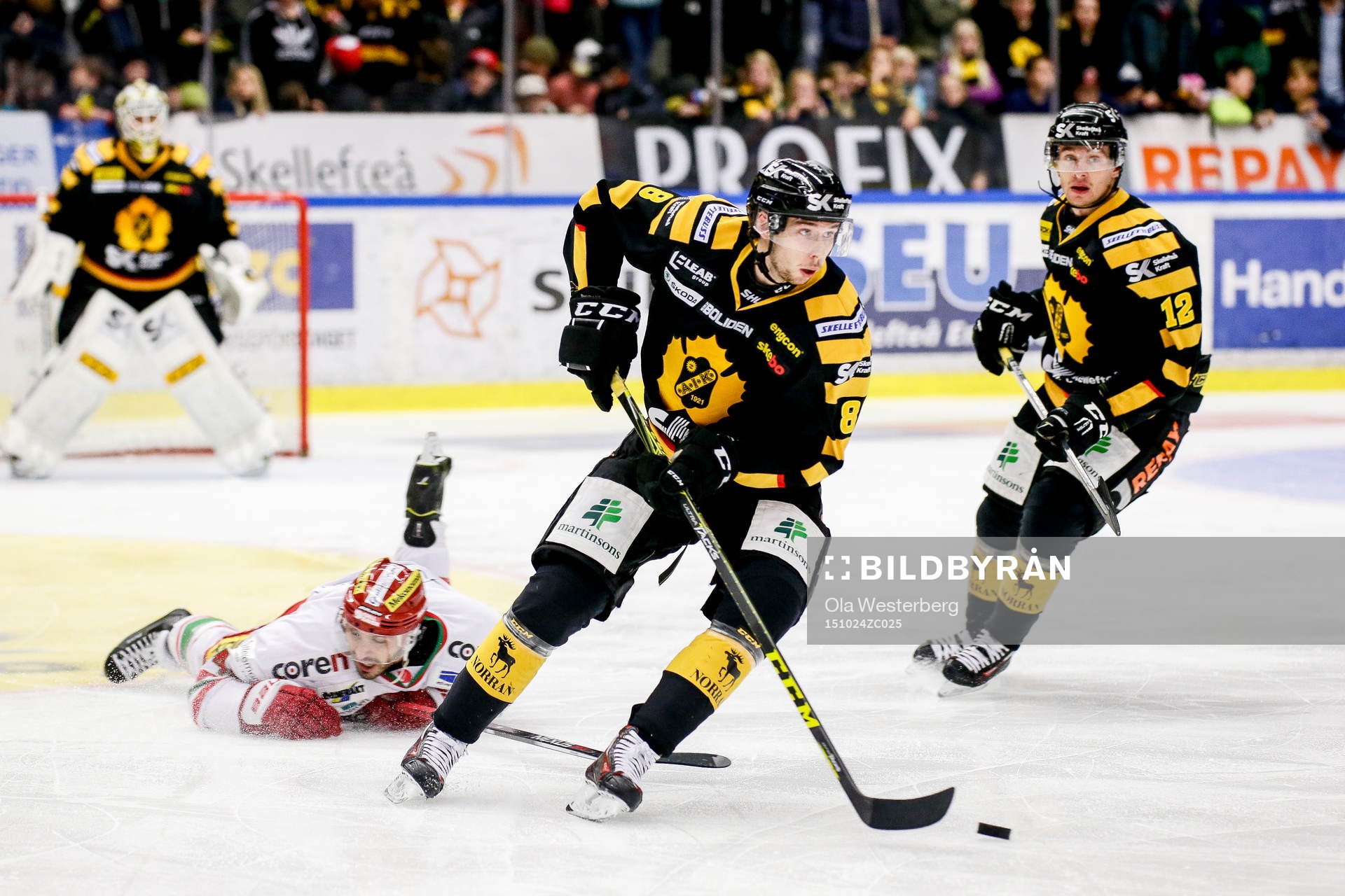 Skellefteås Marcus Pettersson