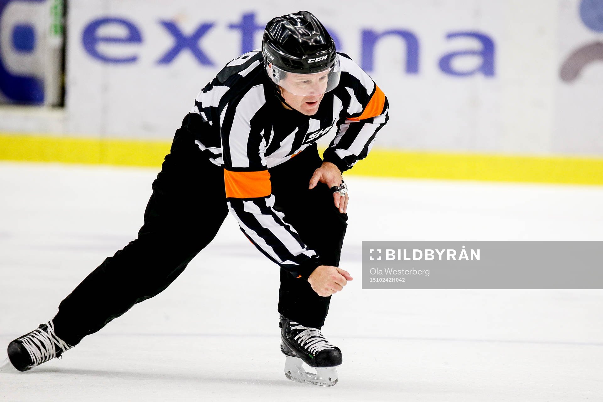 Domaren Wolmer Edqvist