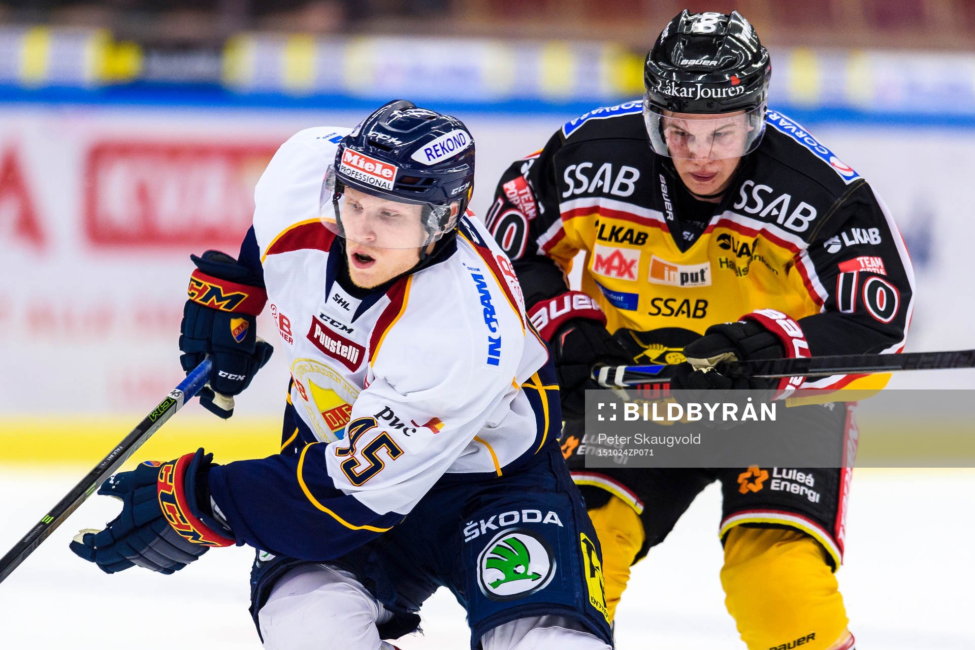 Djurgårdens Alexander Falk