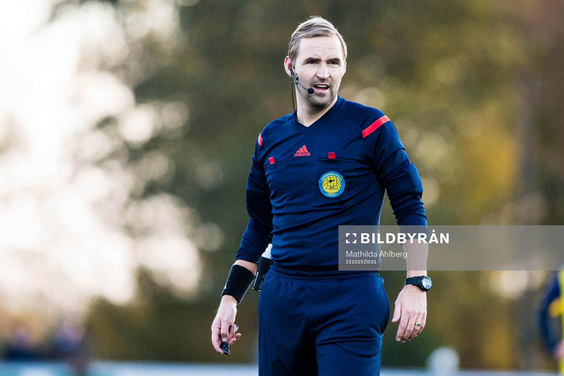 Domaren Jim Pettersson