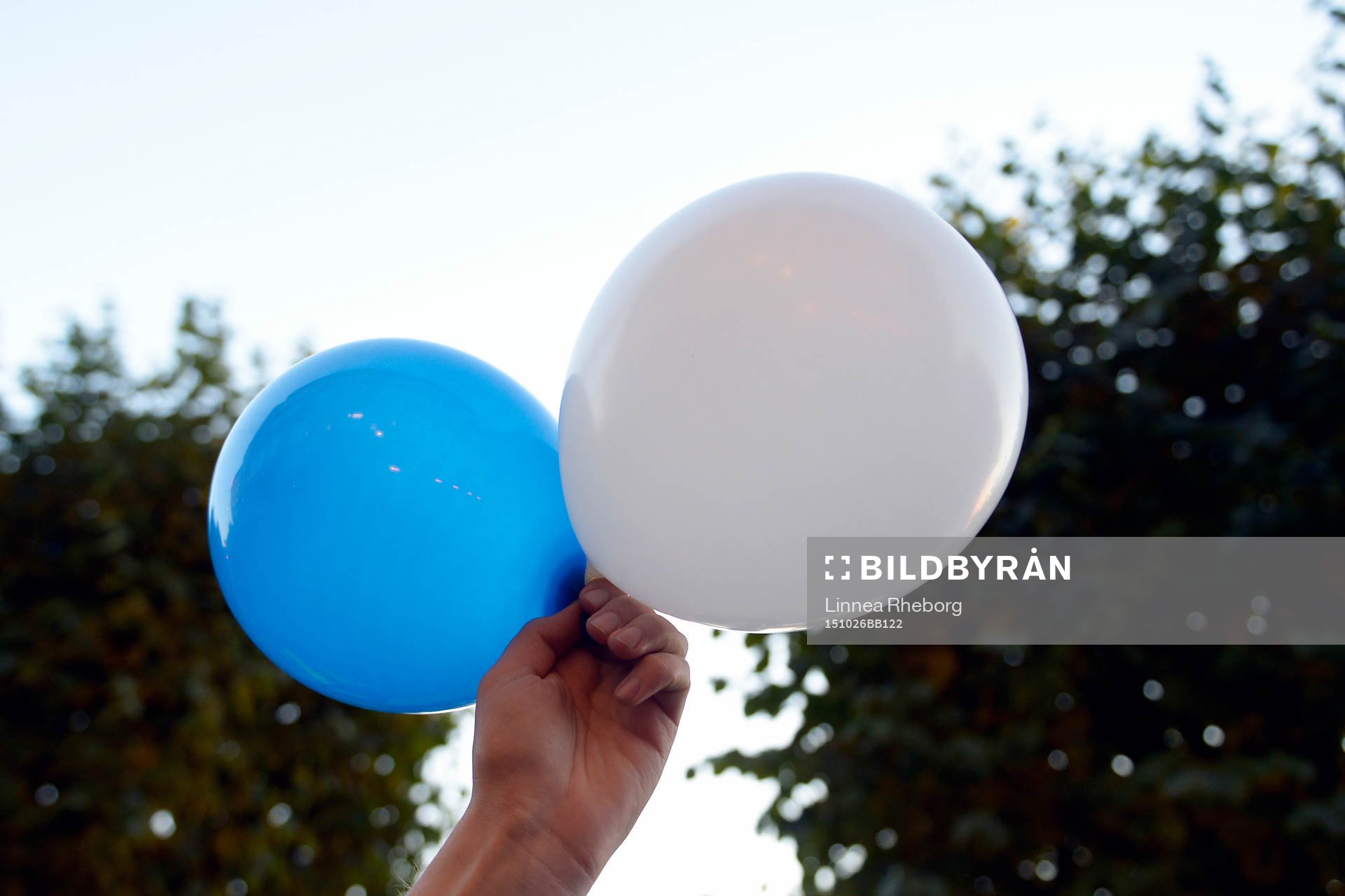 Blåvita ballonger