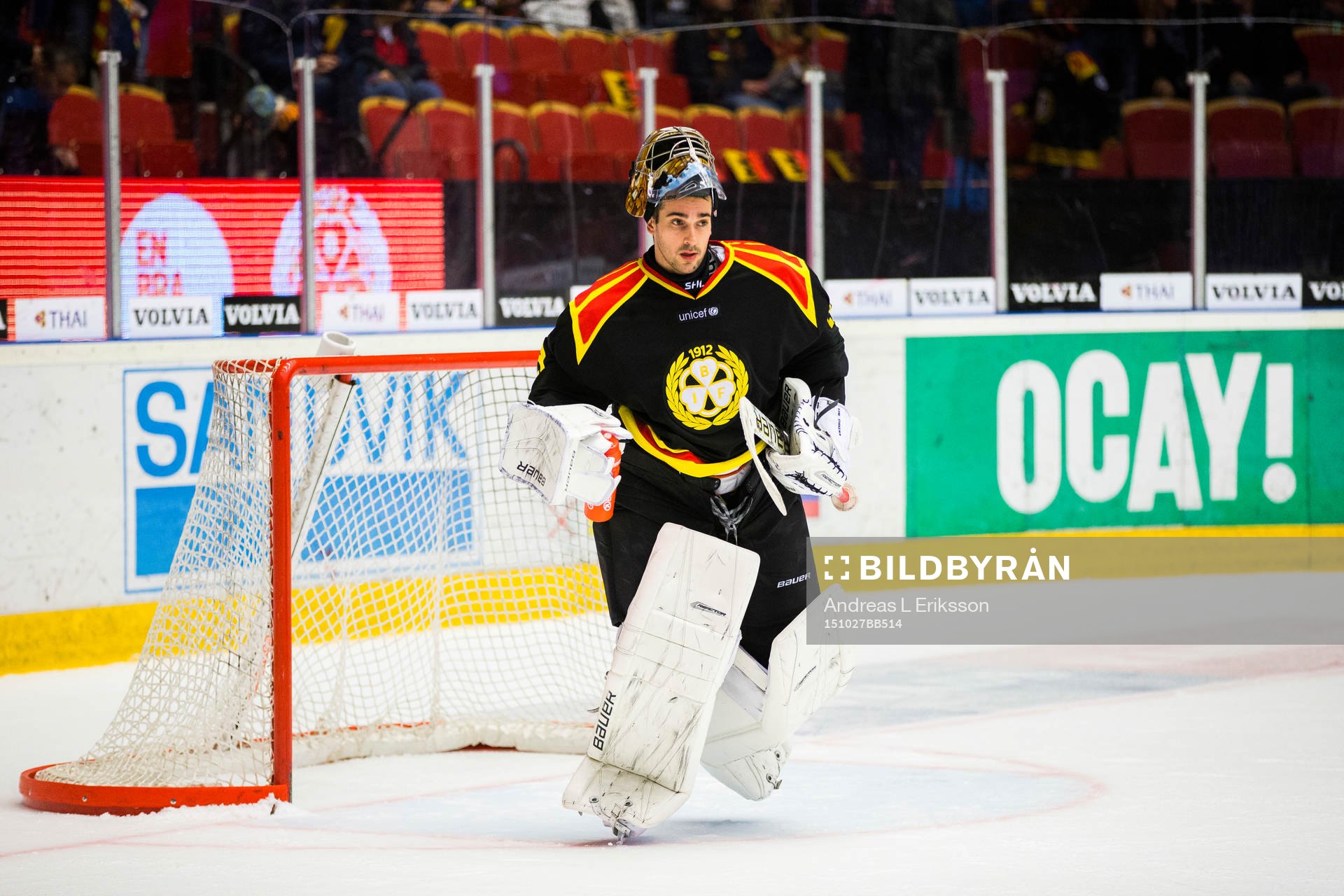 Brynäs målvakt Bernhard Starkbaum
