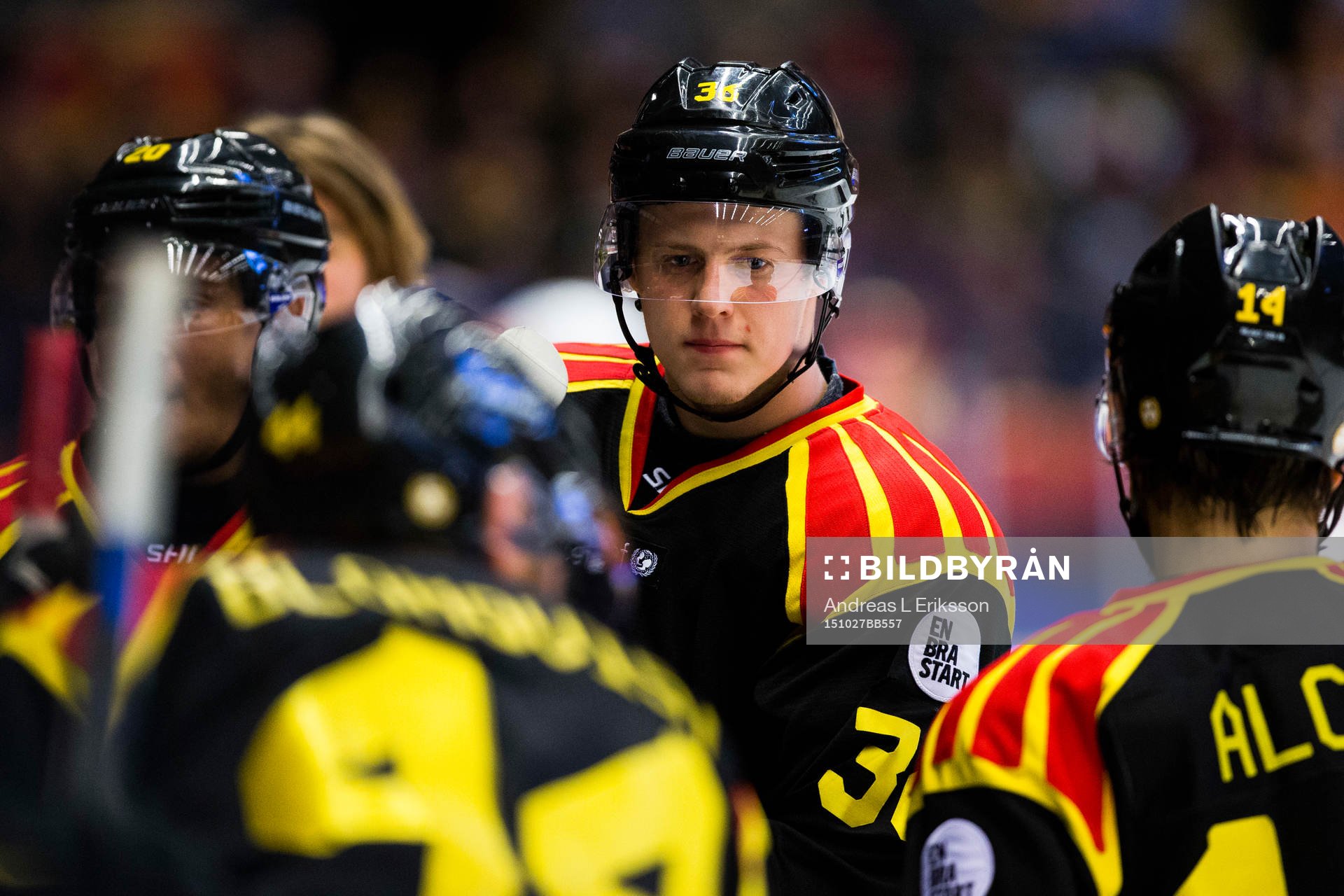 Brynäs Linus Ölund