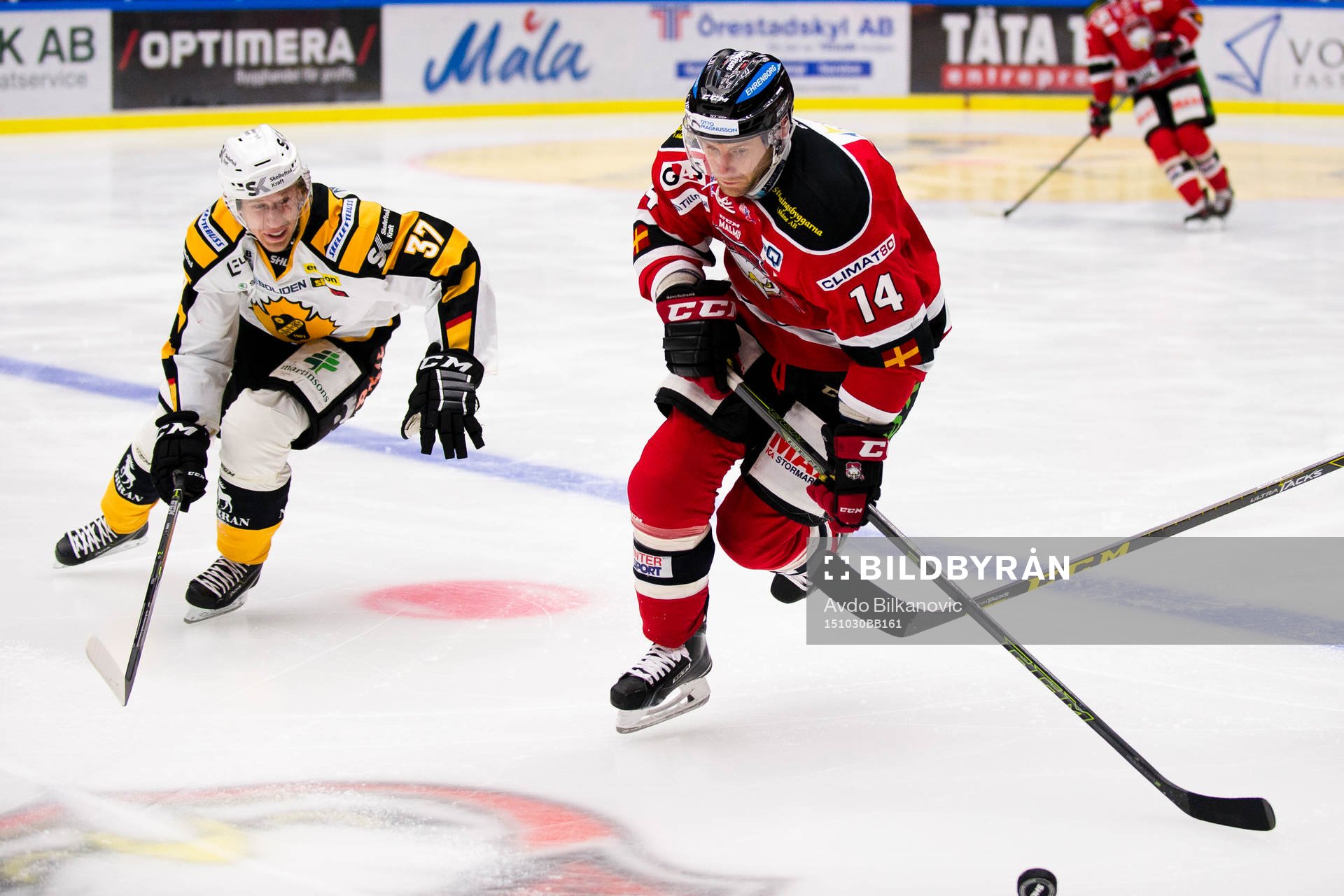 Skellefteås John Norman jagar Malmö Redhawks Derek Meech