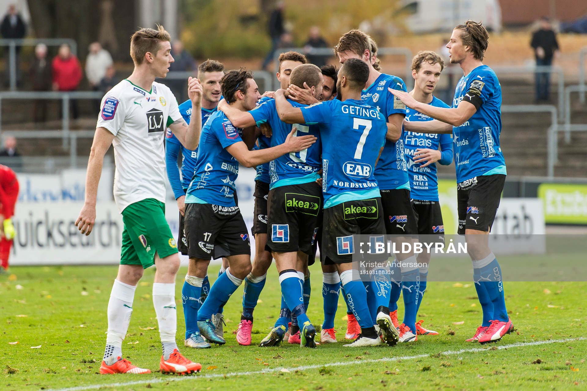 Halmstads spelare jublar efter att Matthew Rusike gjort 2-1 under fotbollsmatchen i Allsvenskan mellan Halmstad och Hammarby den 31 oktober 2015 i Halmstad.