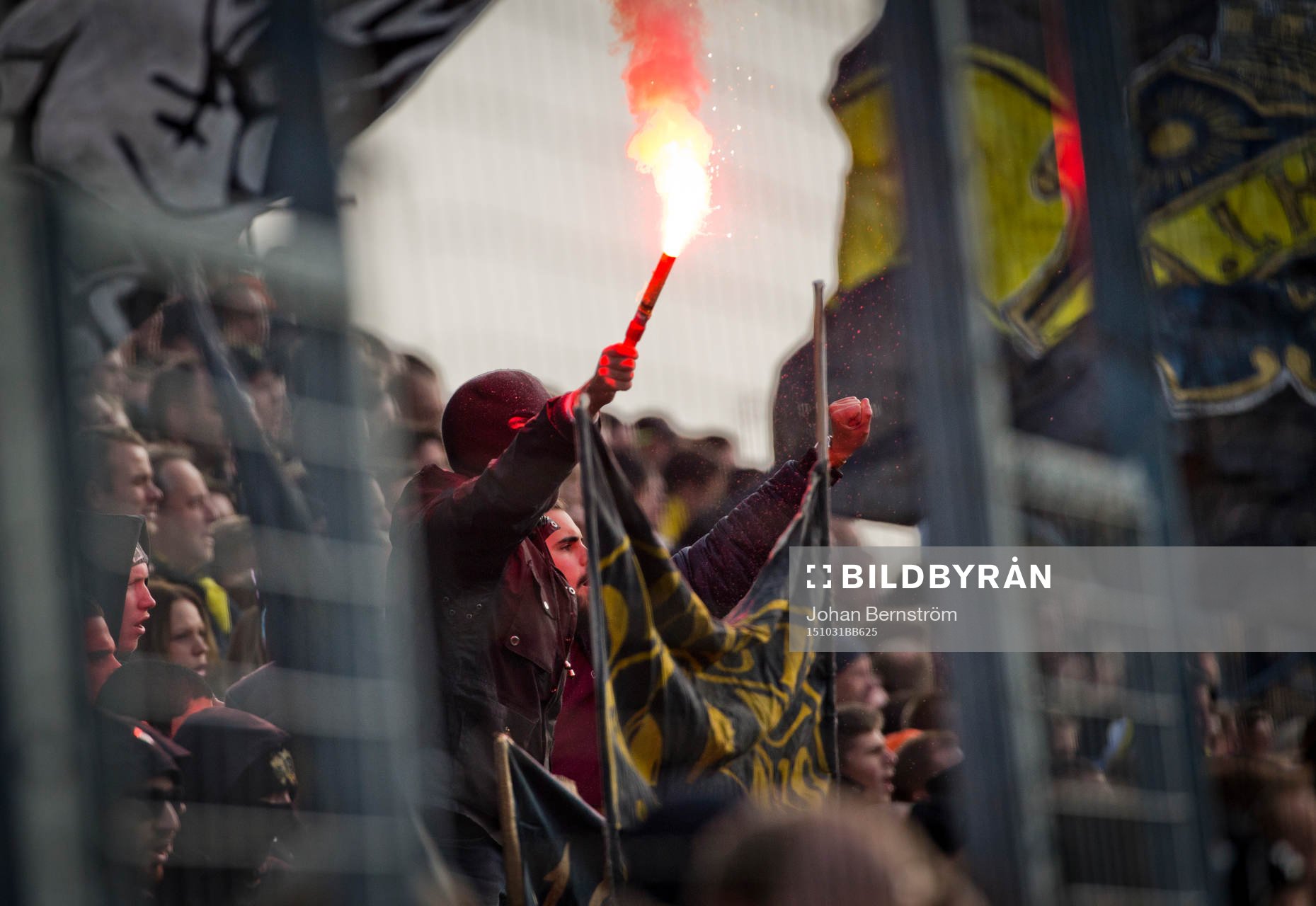 AIK supporter med bengal