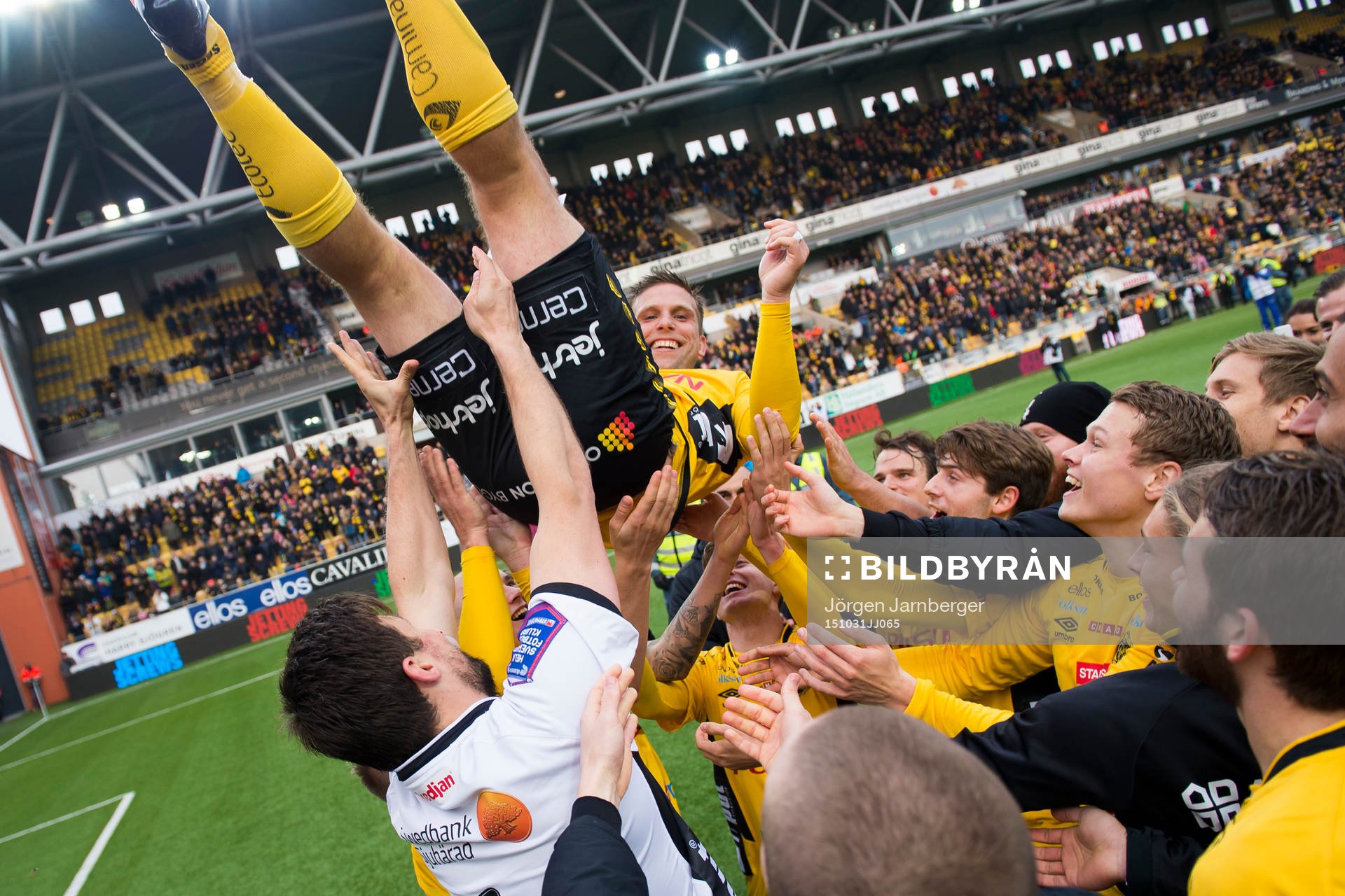 Elfsborgs Anders Svensson hissas i luften av övriga spelare