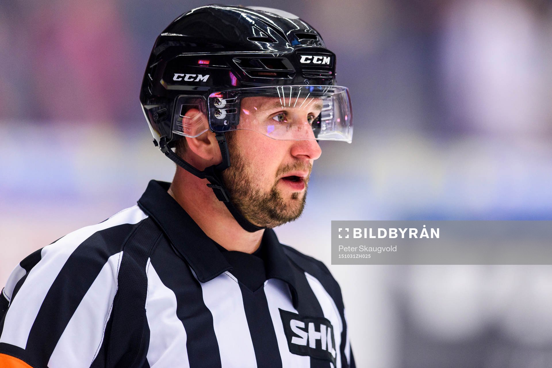 Domare Christoffer Karlsson
