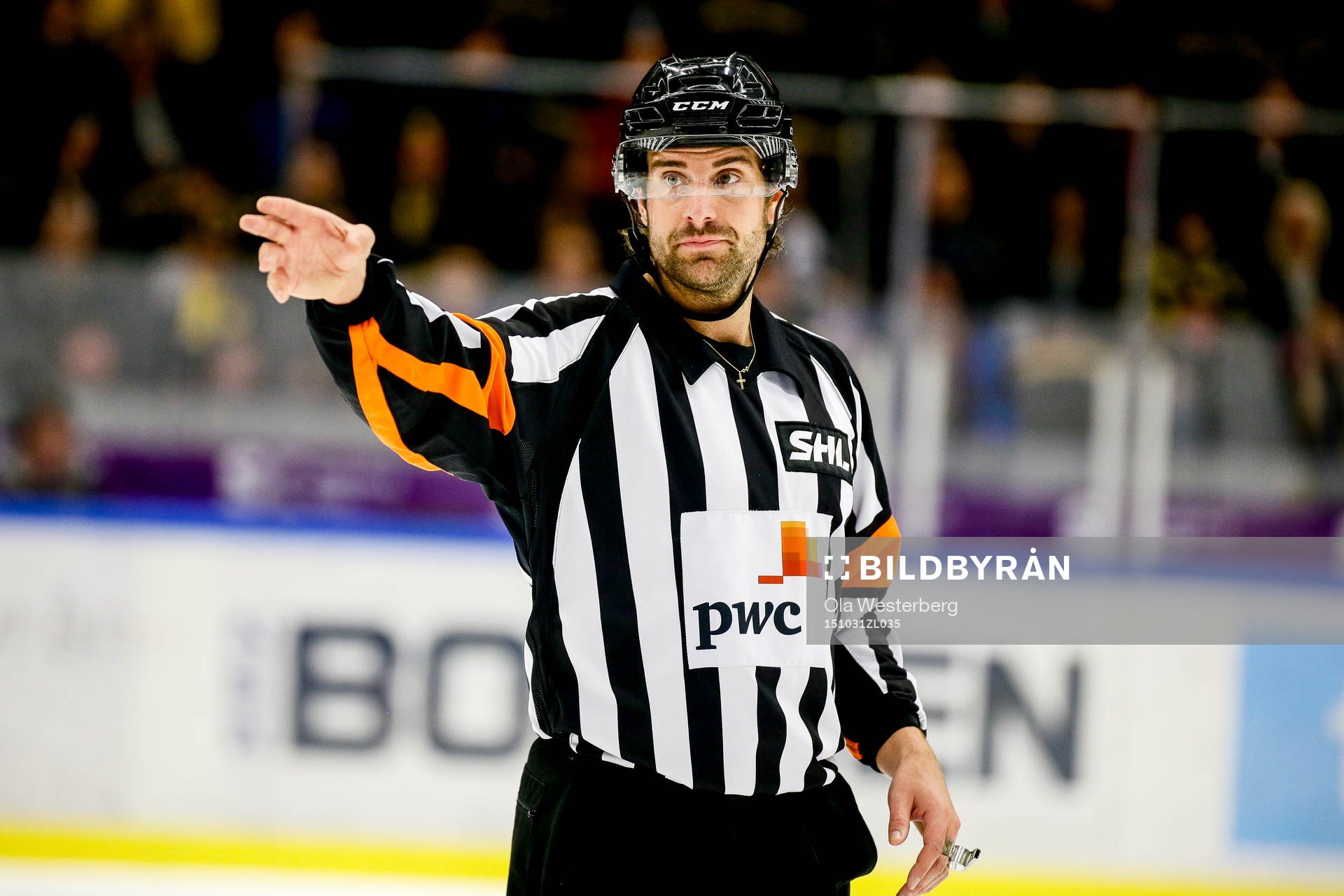 Domaren Mikael Sjöqvist