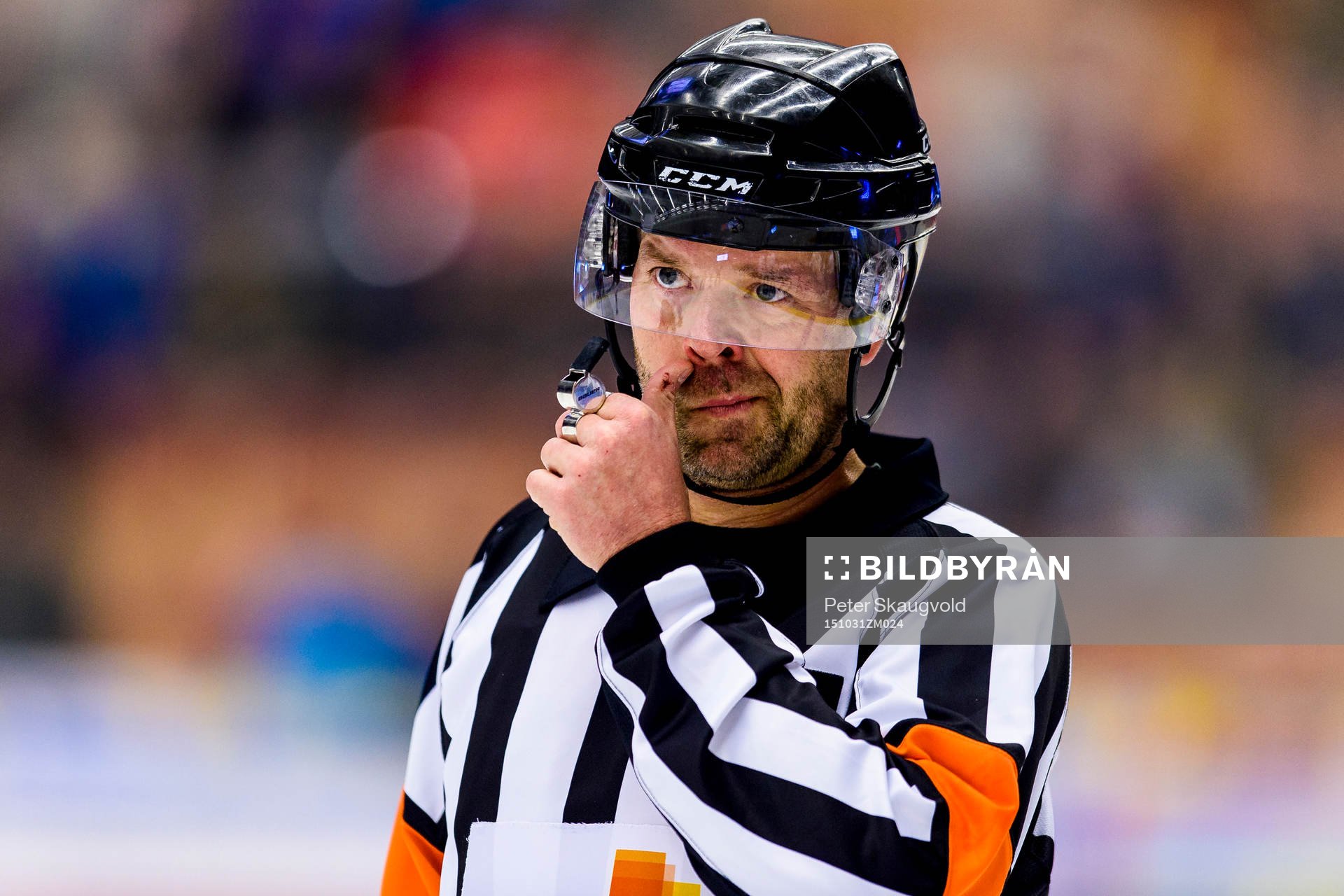 Domare Patrik Sjöberg