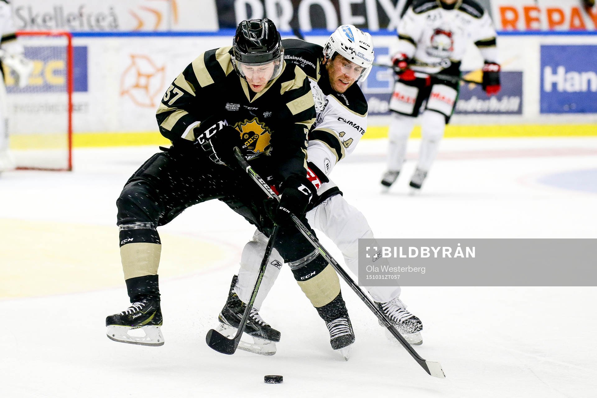 Skellefteås John Norman