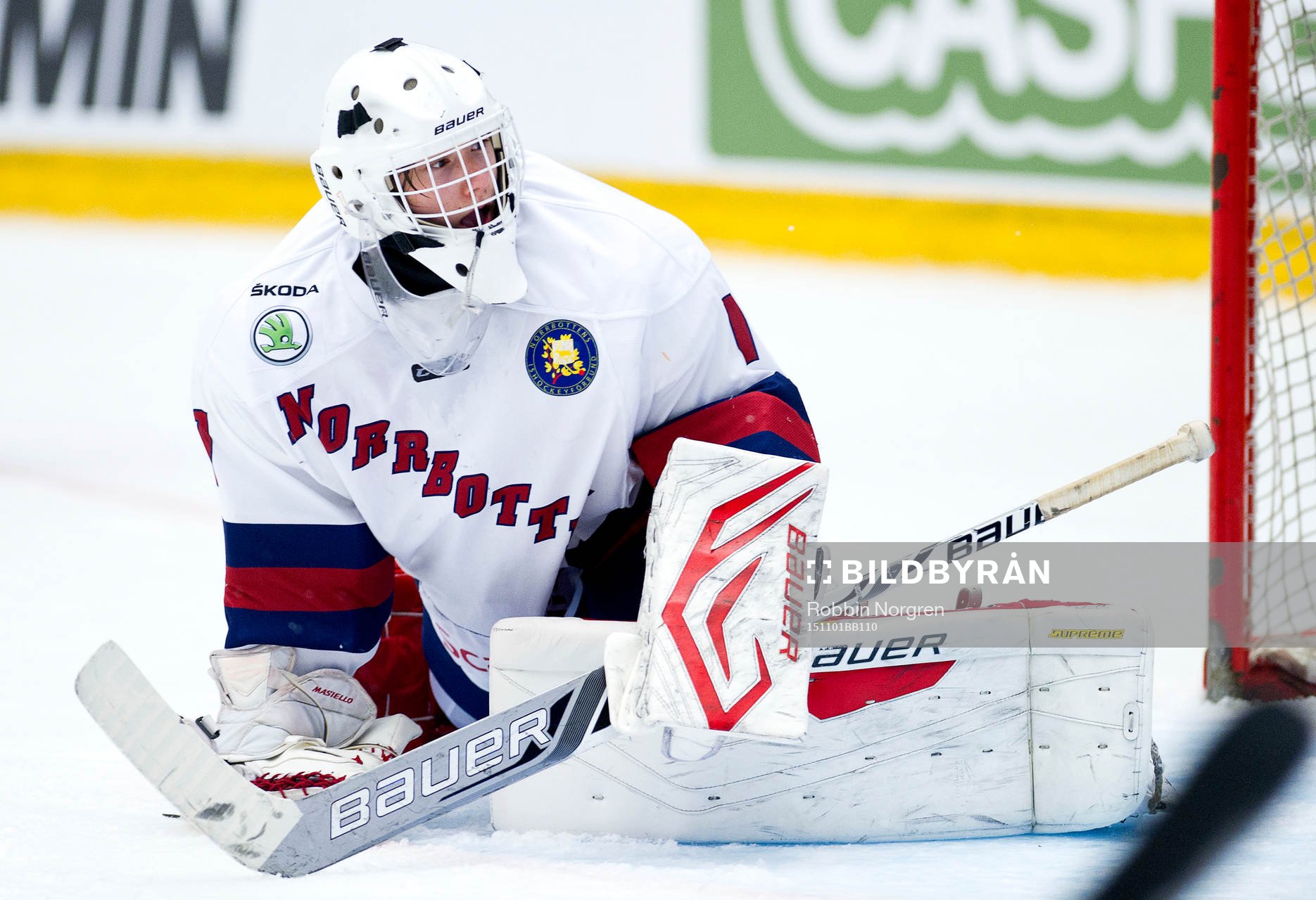Norrbottens målvakt Albin Enqvist