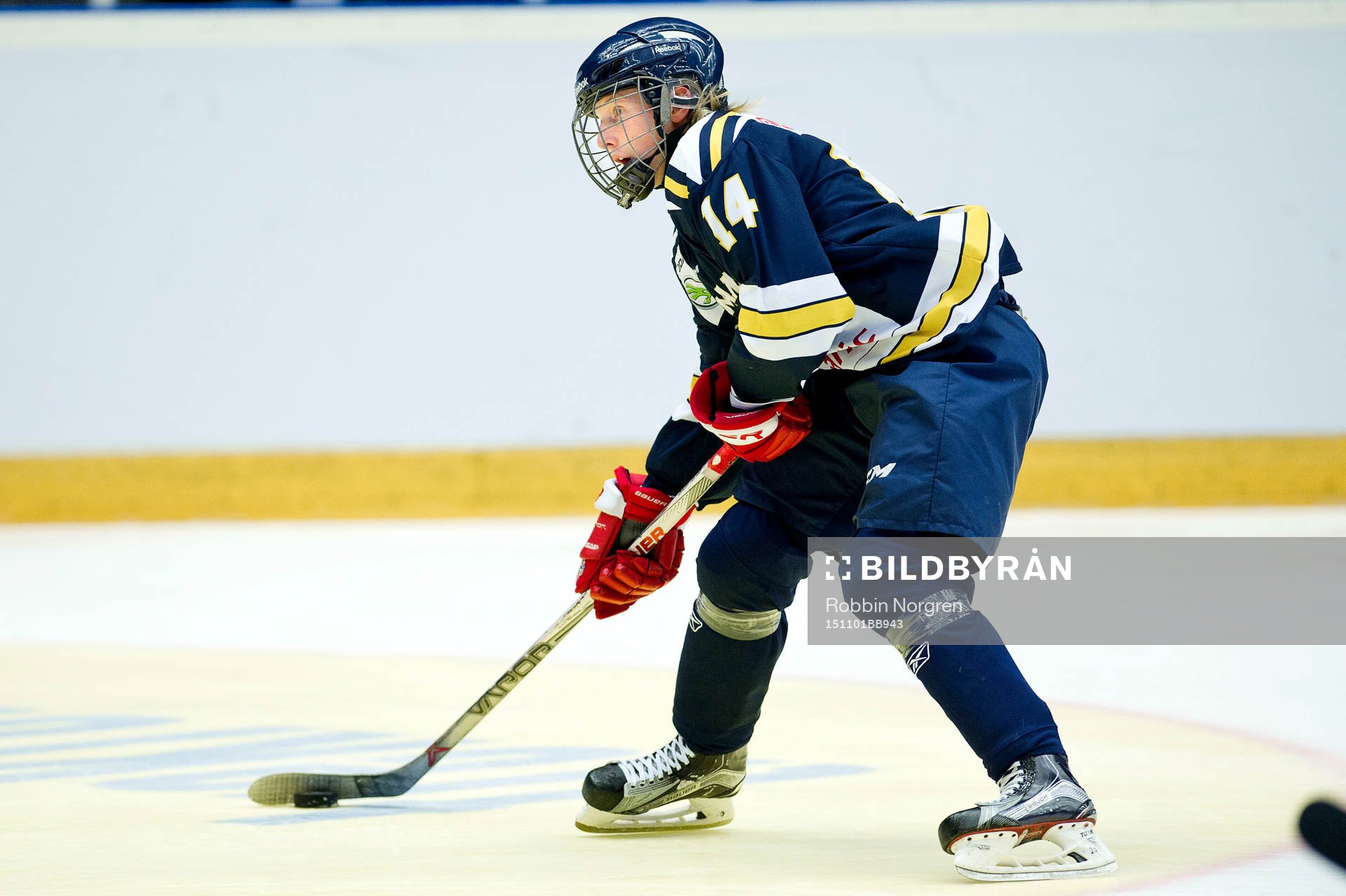 Ångermanlands Lnus Pettersson
