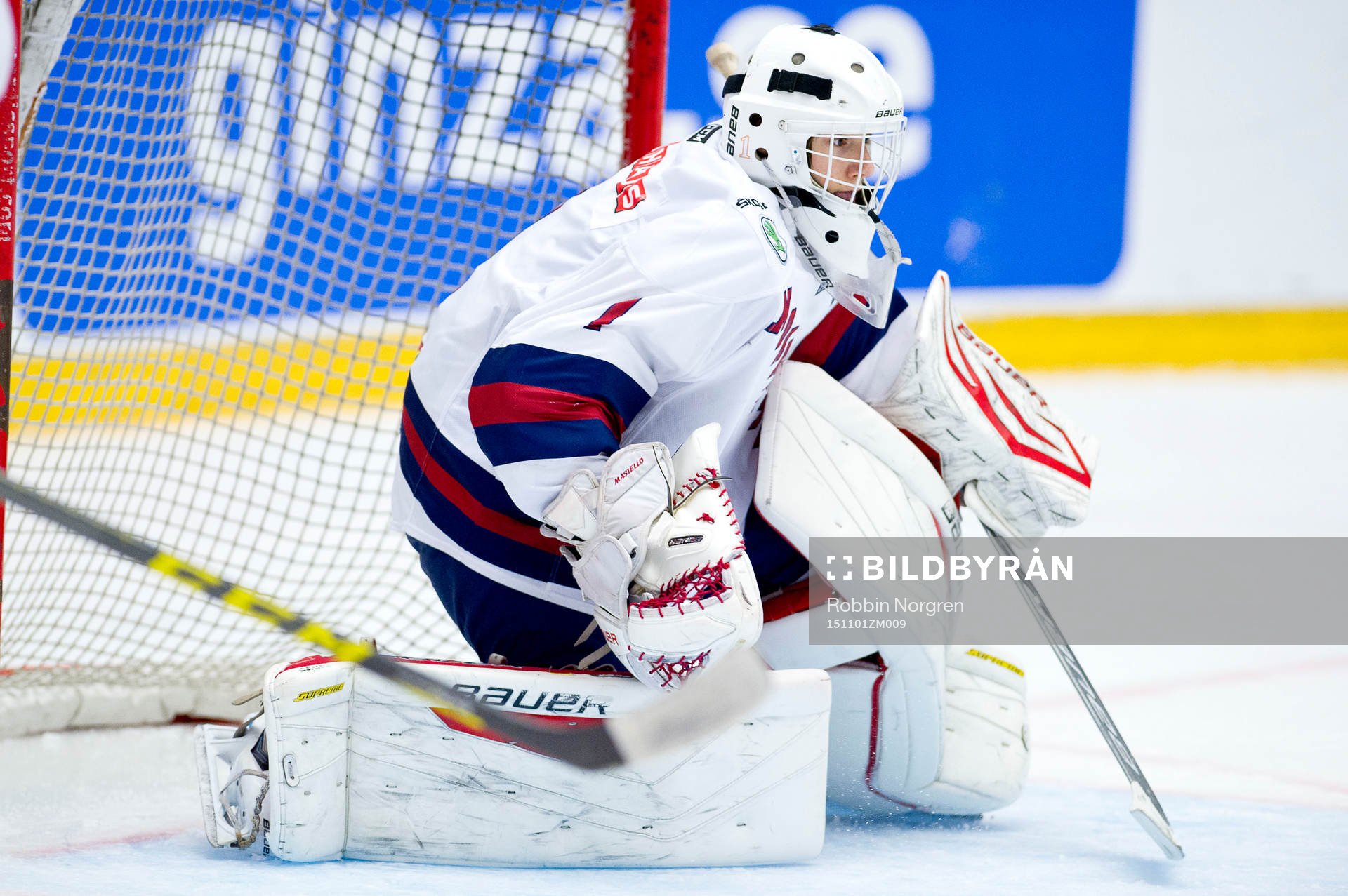 Norrbottens Albin Enqvist