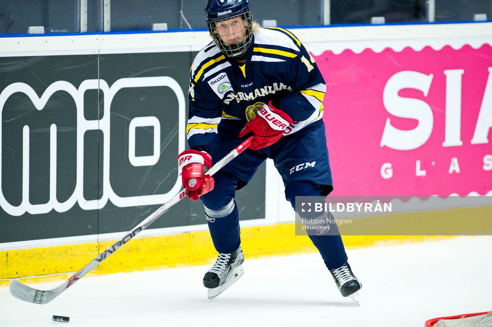 Ångermanlands Lnus Pettersson