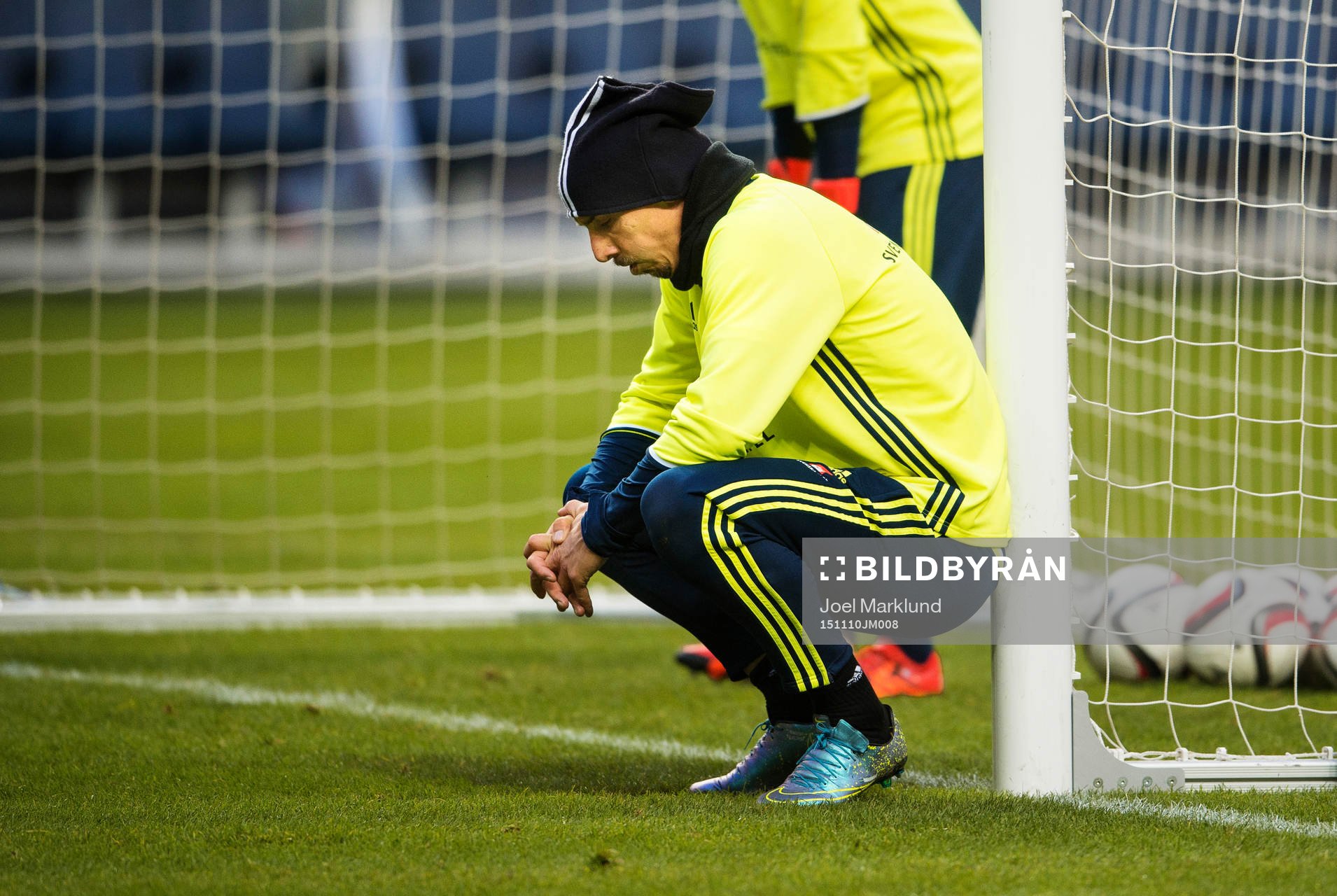 Zlatan Ibrahimovic hostar