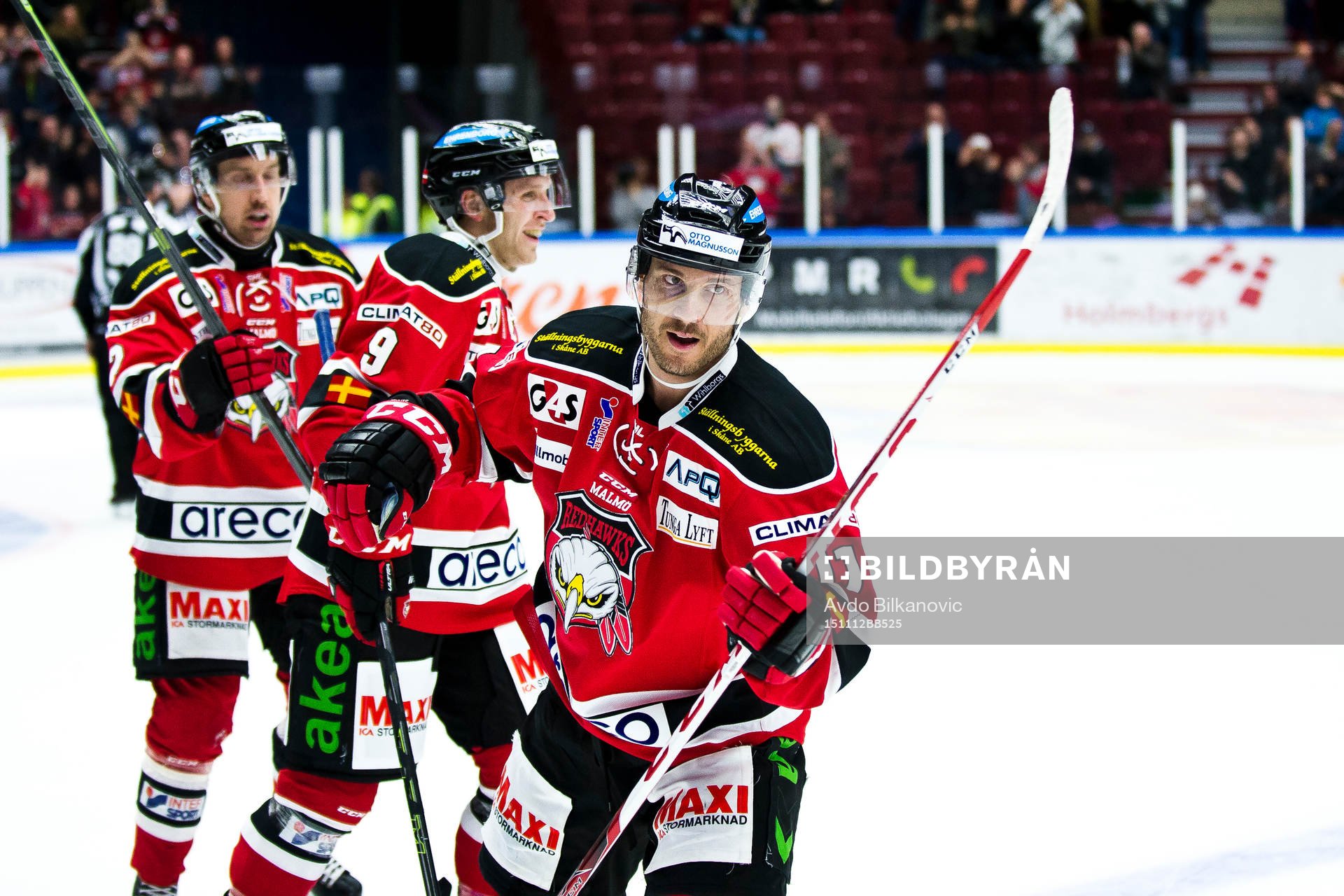 Malmö Redhawks Joey Tenute jublar