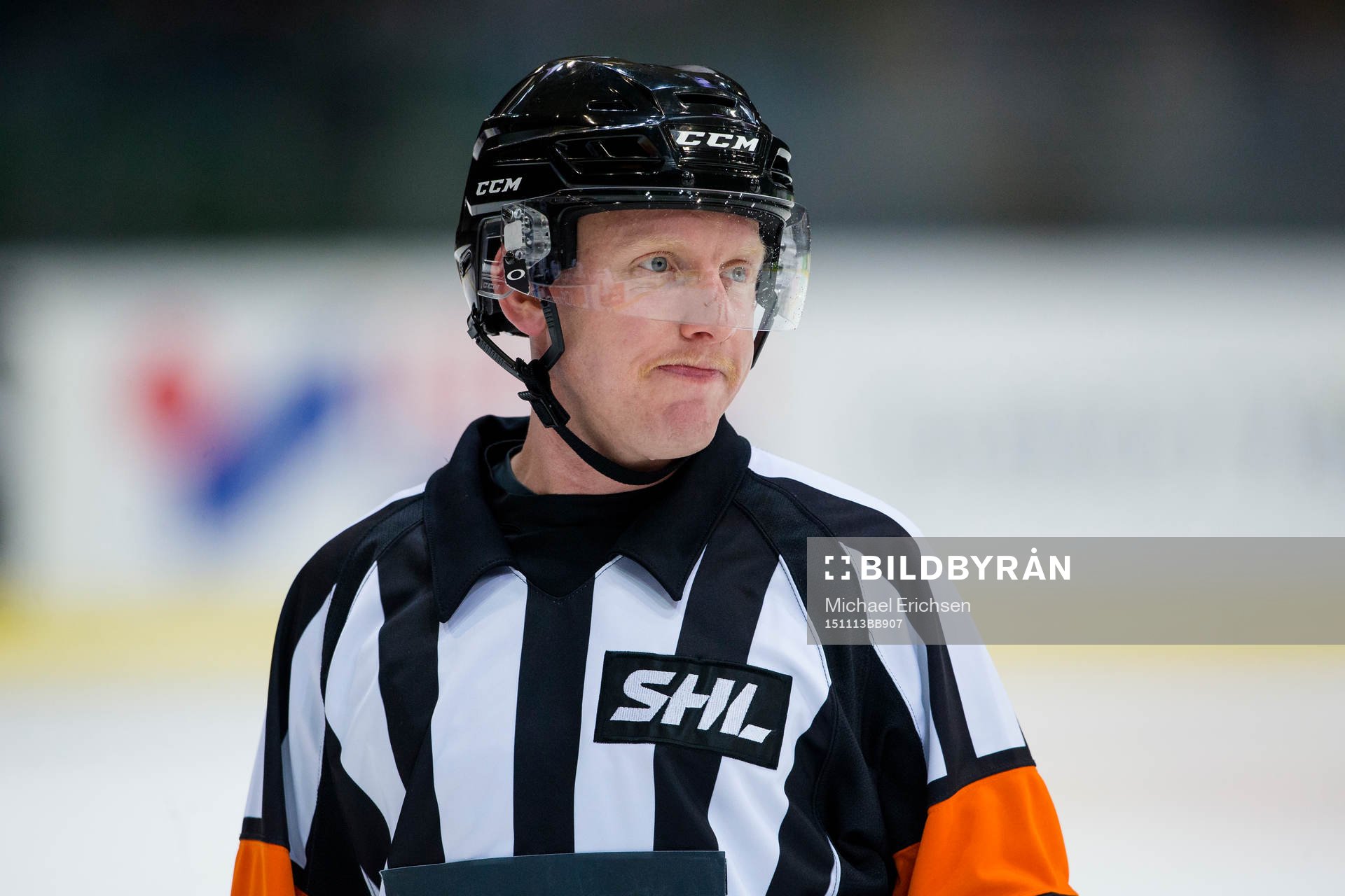 Domare Mikael Holm