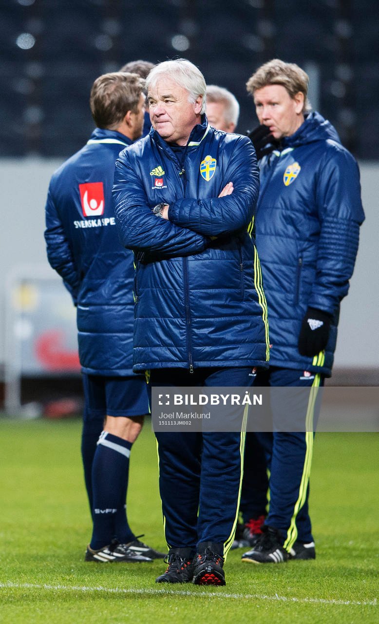 Reine Almqvist, scout