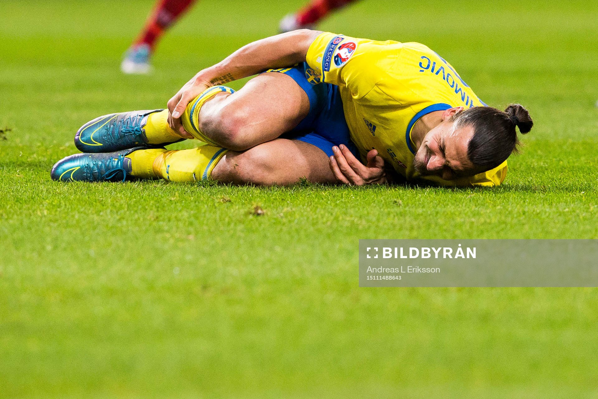Sveriges Zlatan Ibrahimovic liger ner och tar sig för benet
