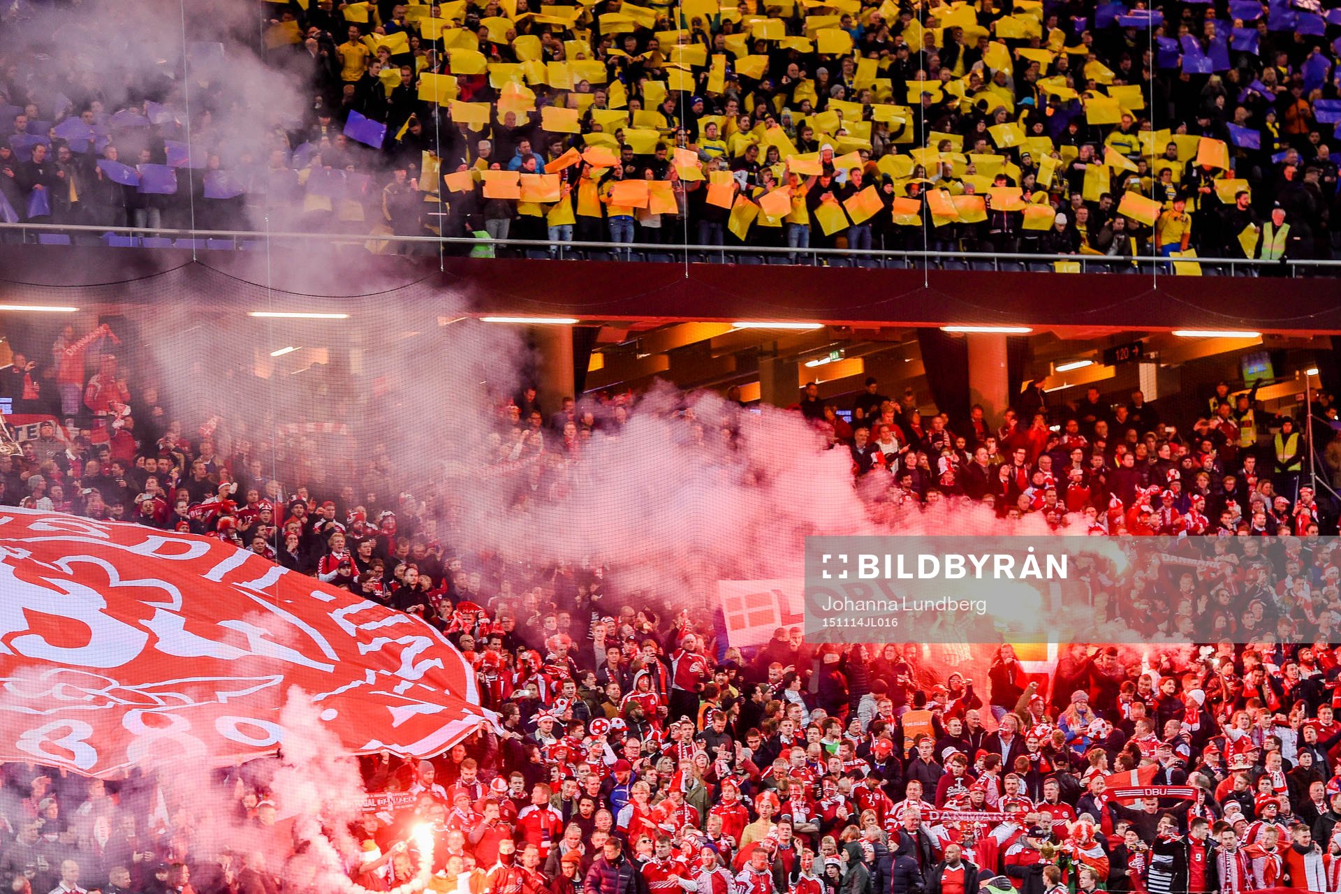Bengaler bland Danmarks supportar