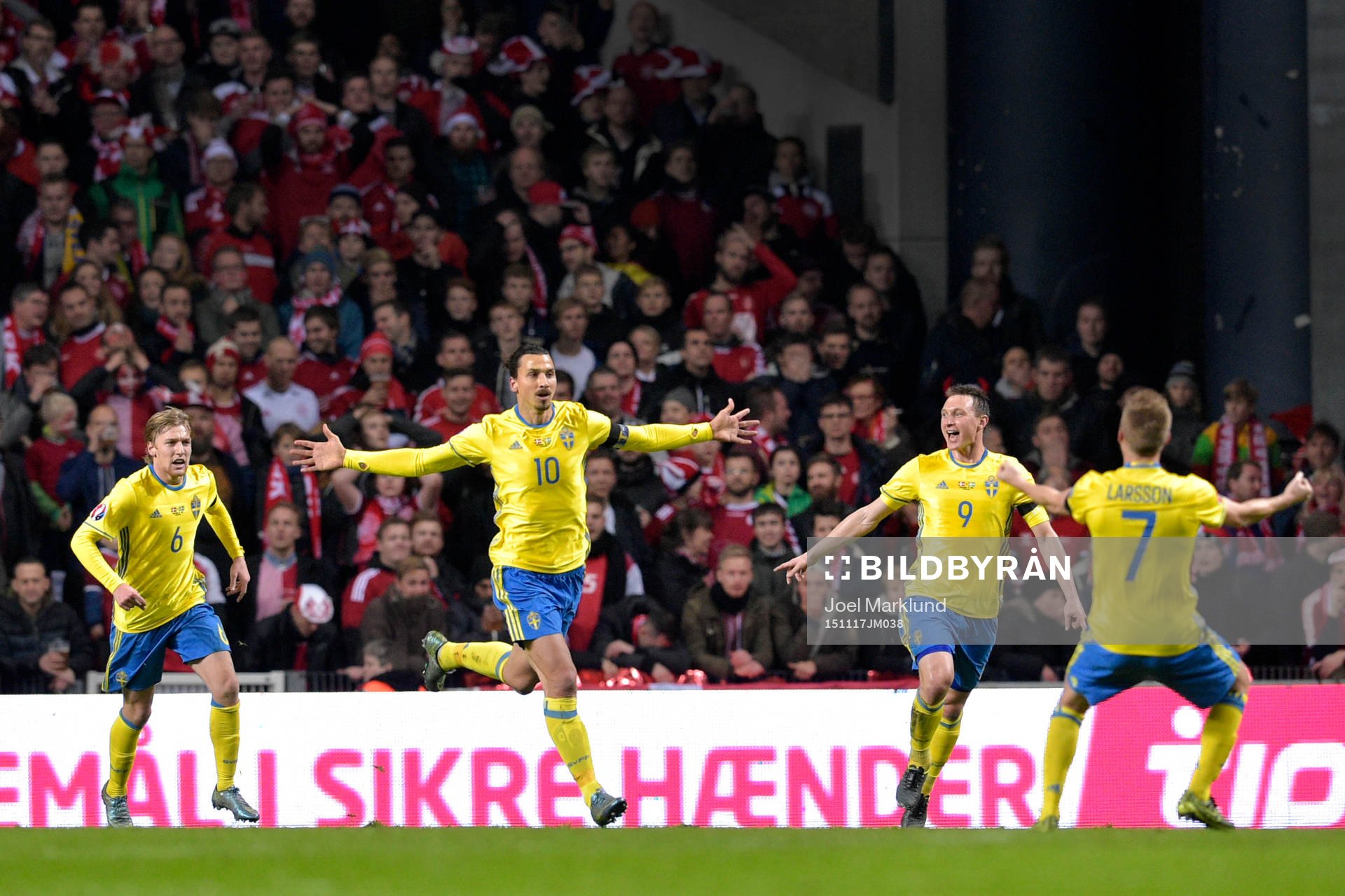 Sveriges Zlatan Ibrahimovic jublar efter att han gjort 0-1 under fotbollsmatchen i EM-kvalets playoff mellan Danmark och Sverige den 17 november 2015 i Köpenhamn.
