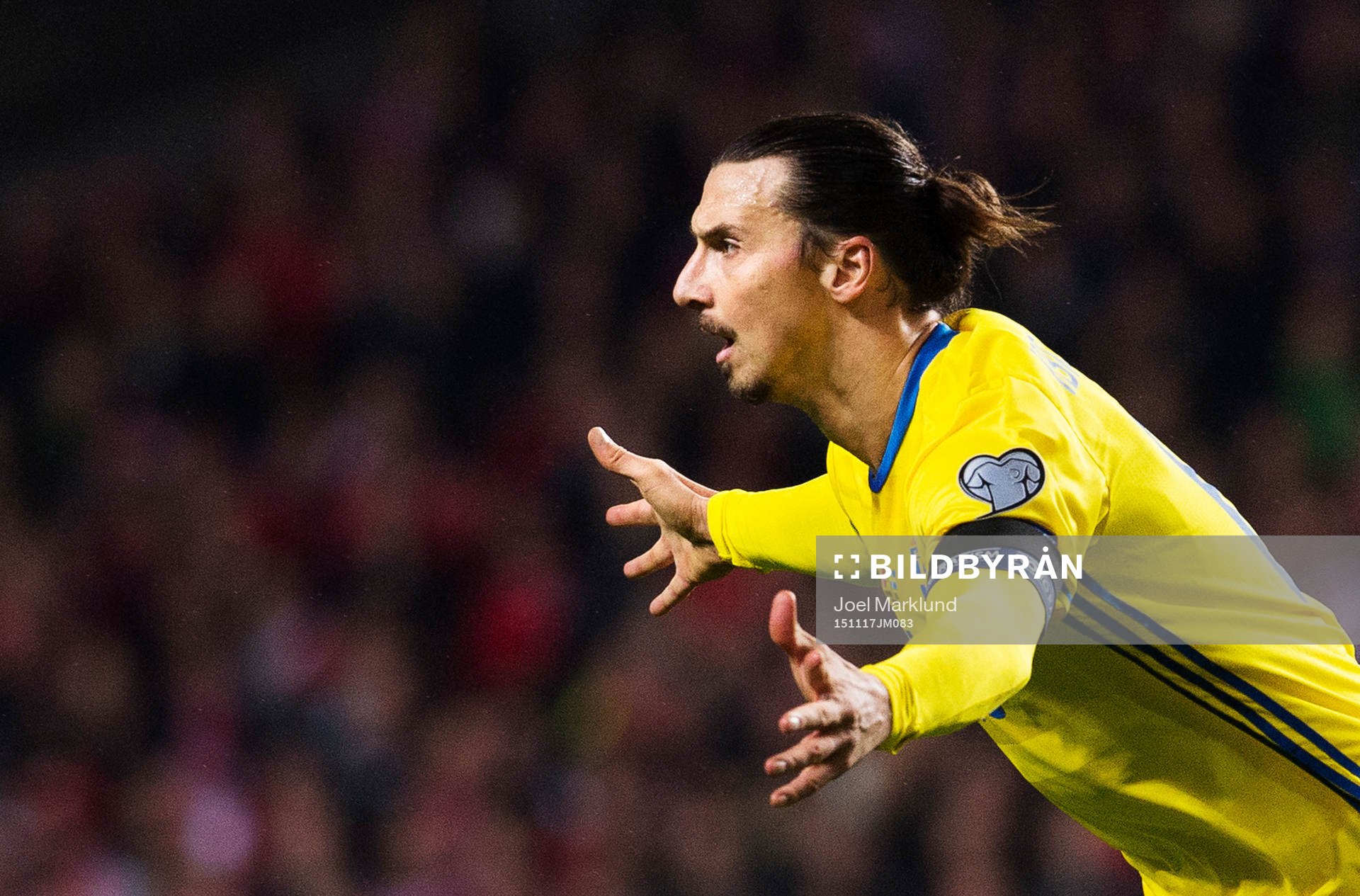Sveriges Zlatan Ibrahimovic jublar