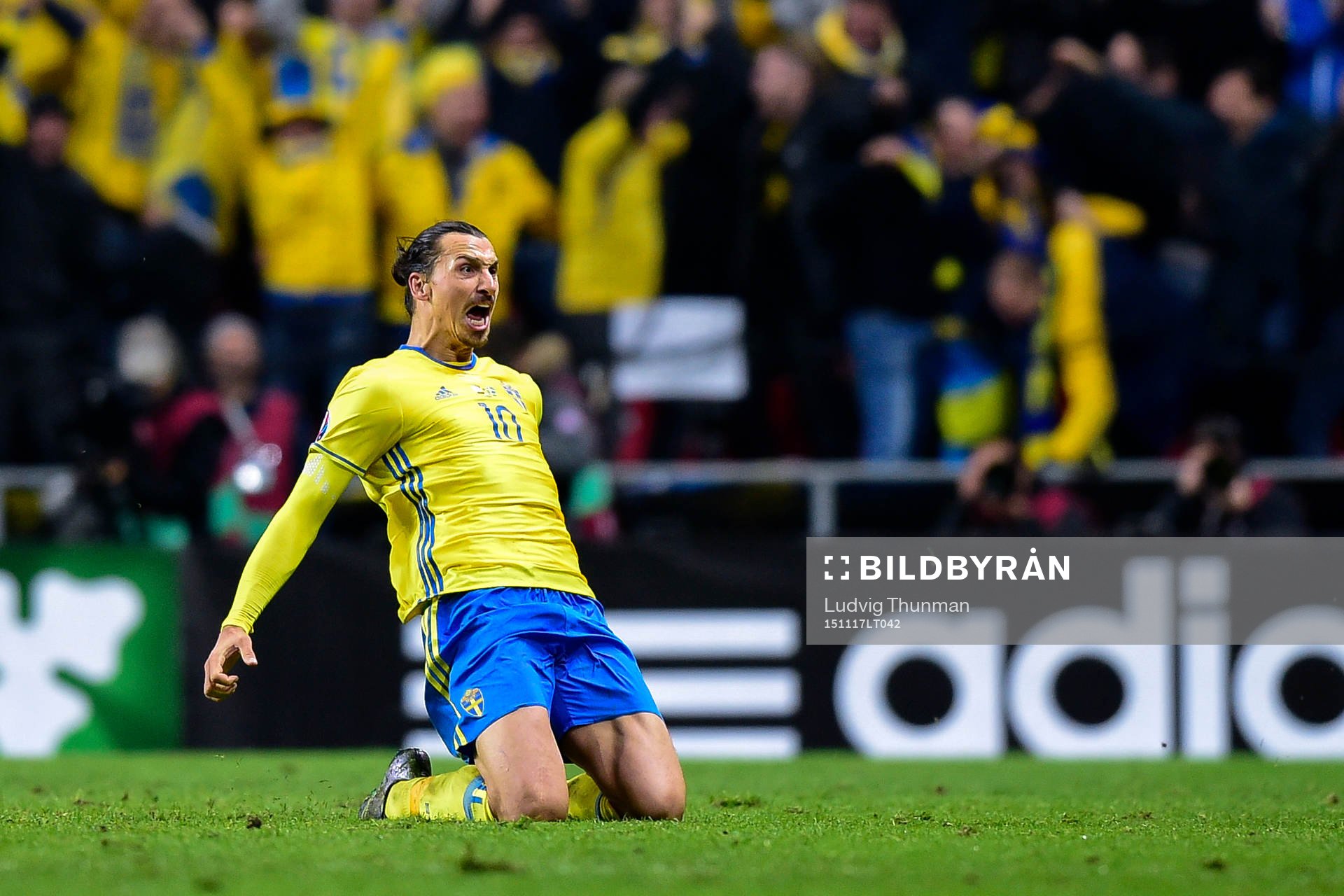 Sveriges Zlatan Ibrahimovic jublar