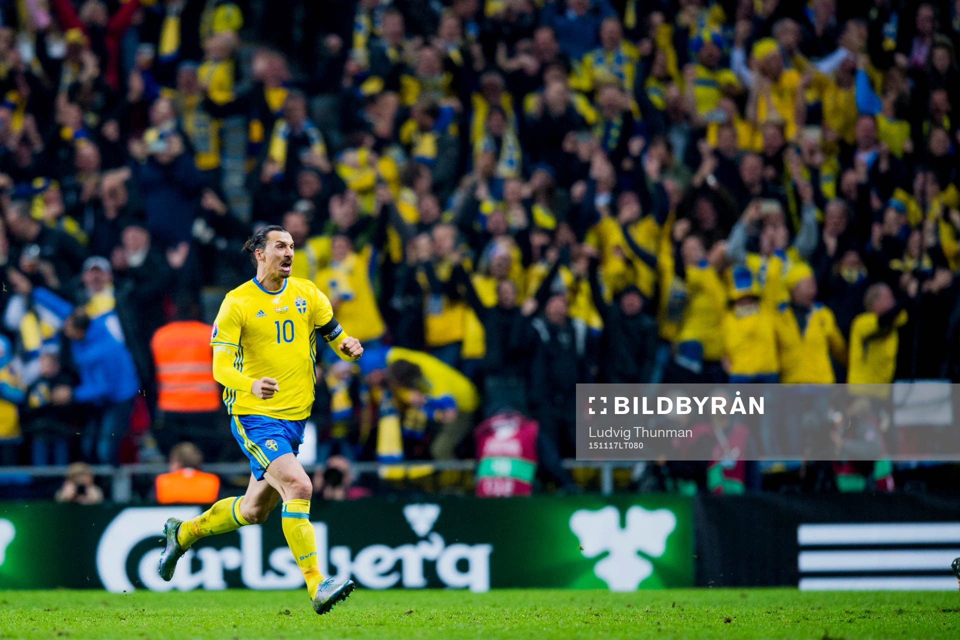 Sveriges Zlatan Ibrahimovic firar efter han gjort 0-2 under fotbollsmatchen i EM-kvalets playoff mellan Danmark och Sverige den 17 november 2015 i Köpenhamn.