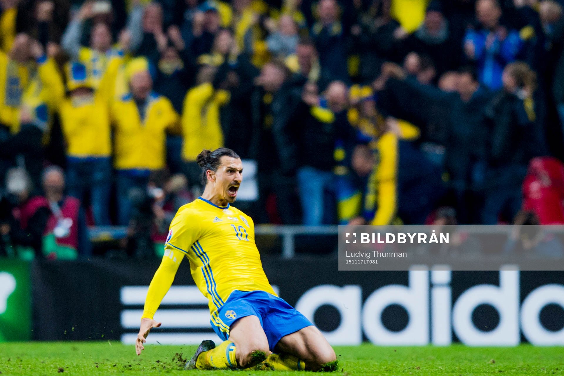 Sveriges Zlatan Ibrahimovic firar efter han gjort 0-2 under fotbollsmatchen i EM-kvalets playoff mellan Danmark och Sverige den 17 november 2015 i Köpenhamn.