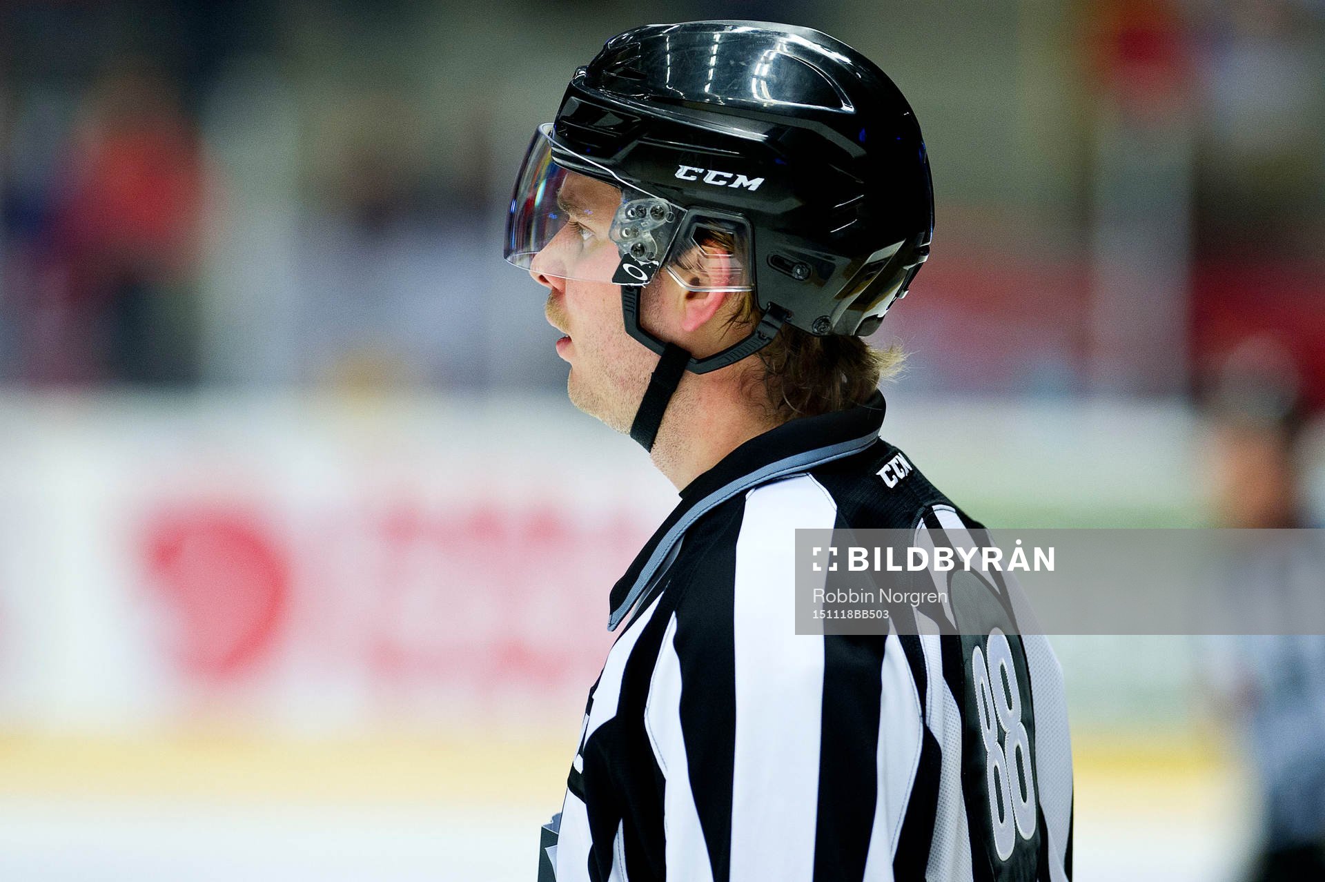 Domaren Daniel Persson