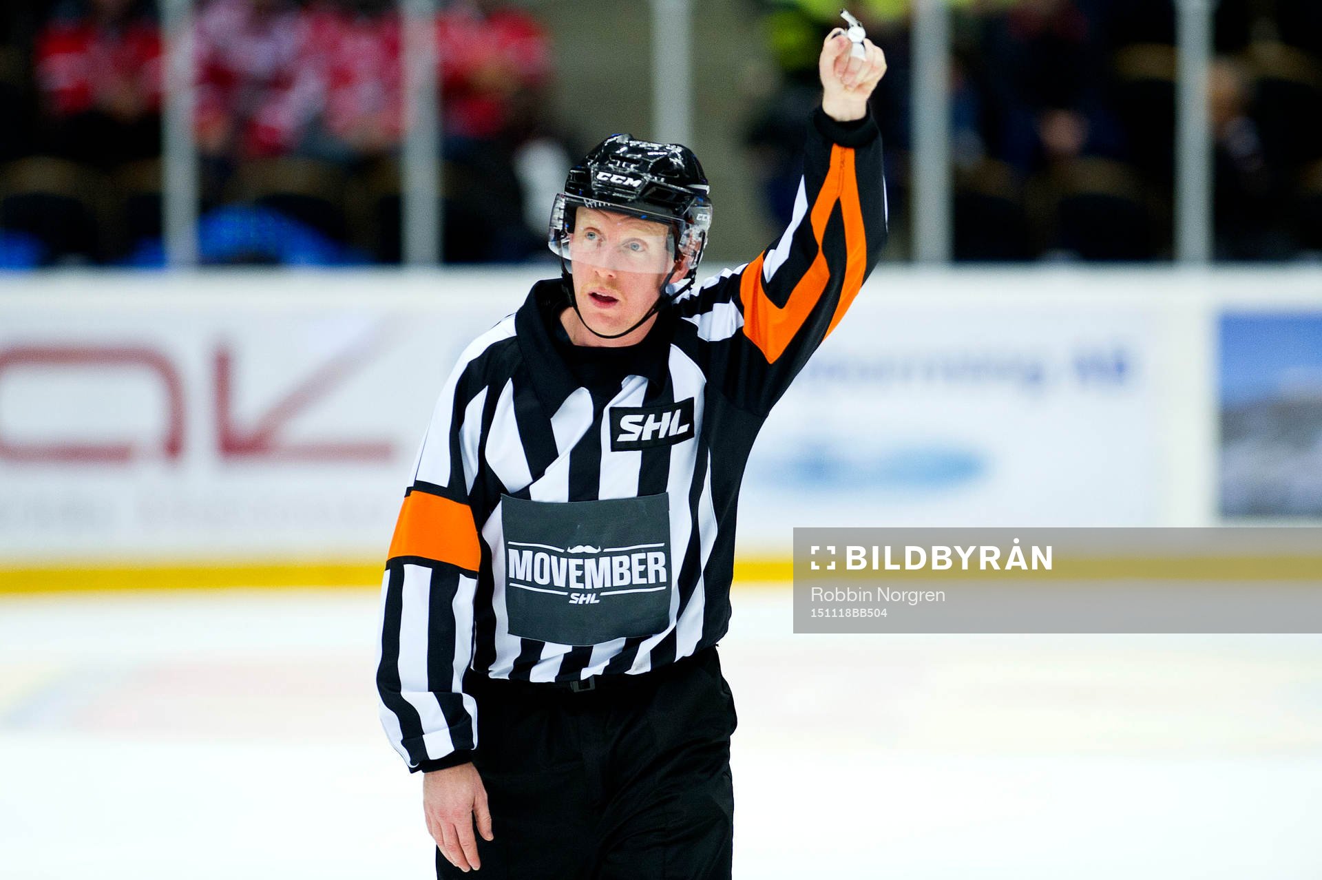 Domaren Mikael Holm