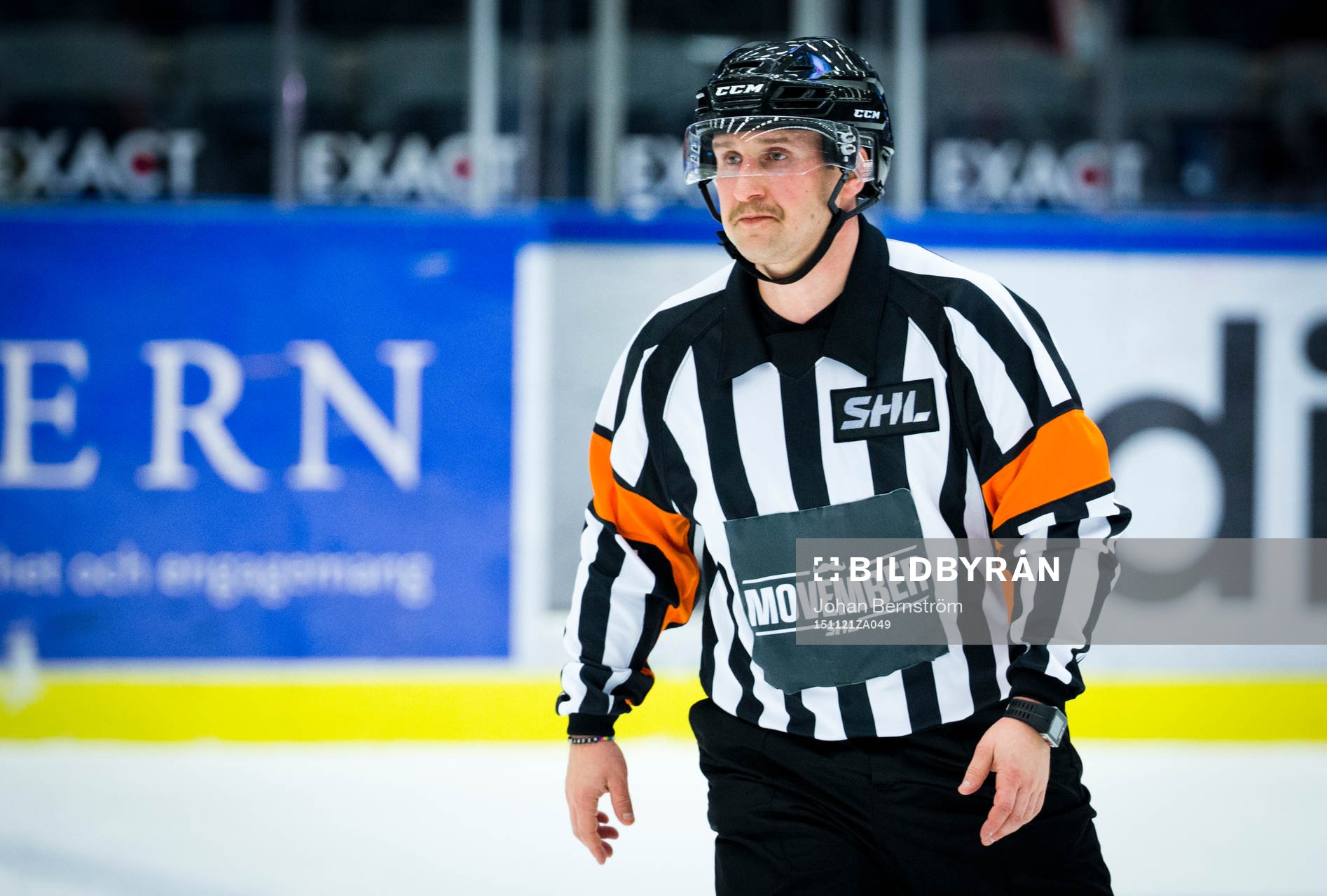 Domare Christoffer Karlsson