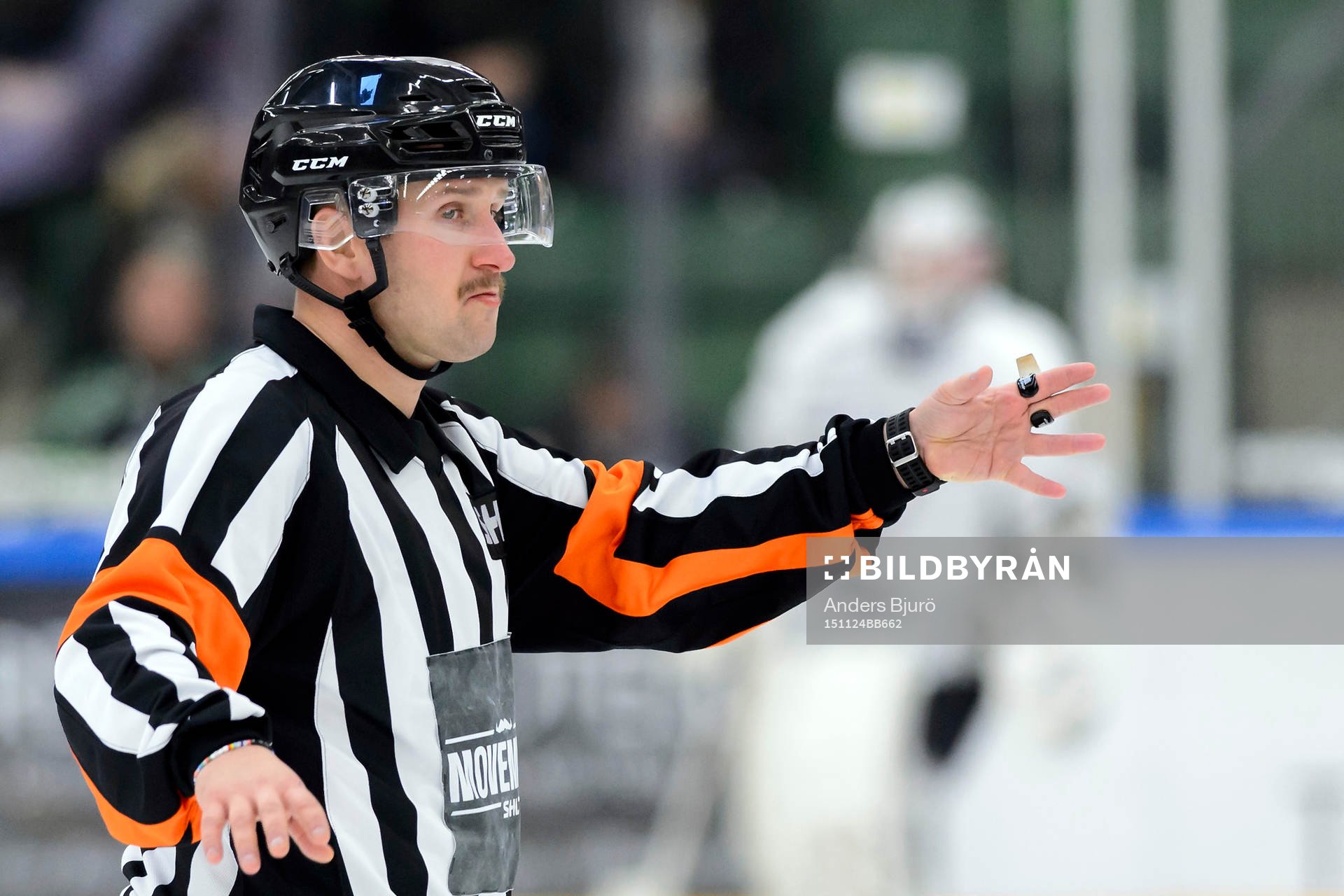 Domare Christoffer Karlsson