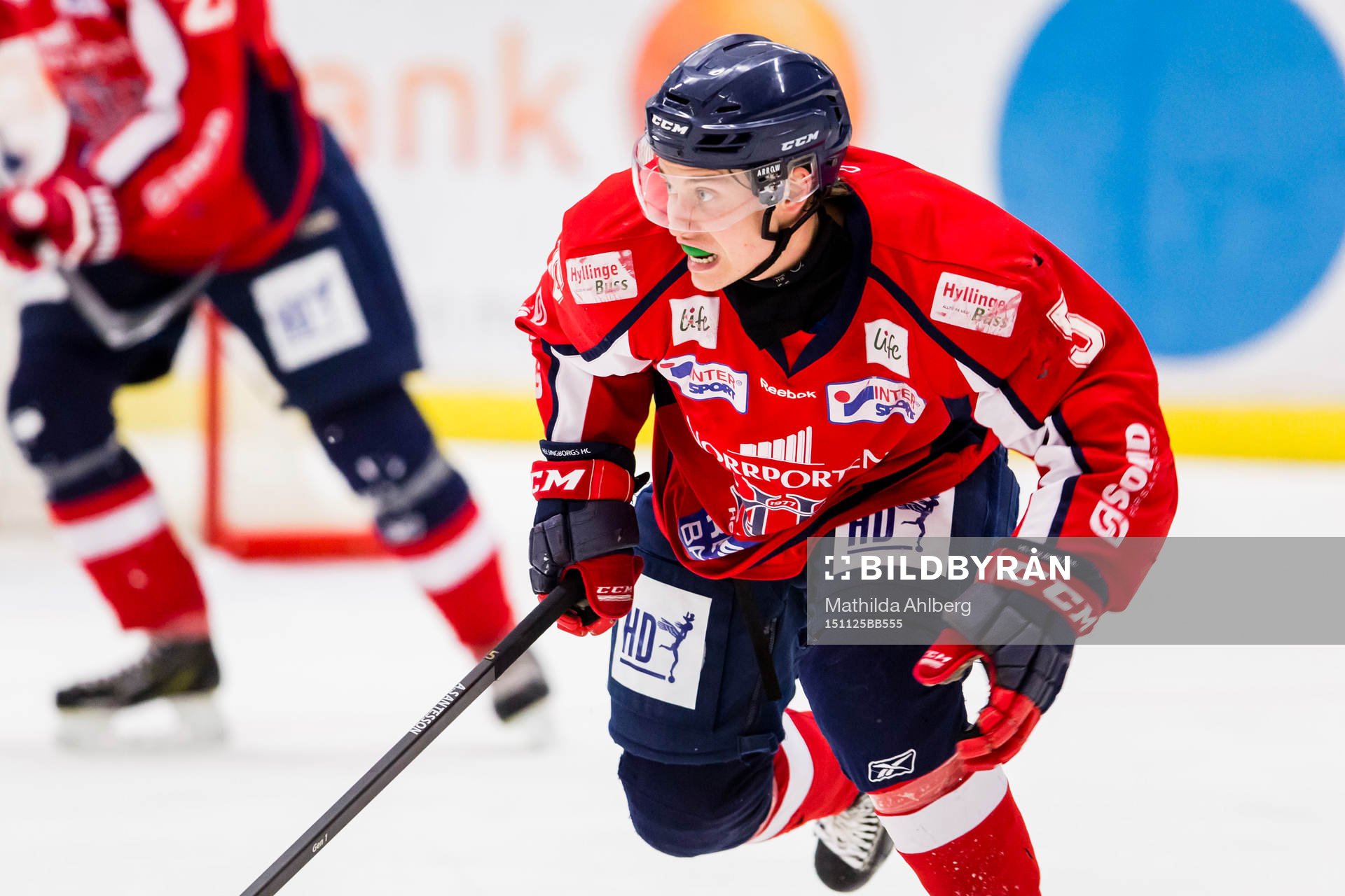 Helsingborgs Anton Santesson