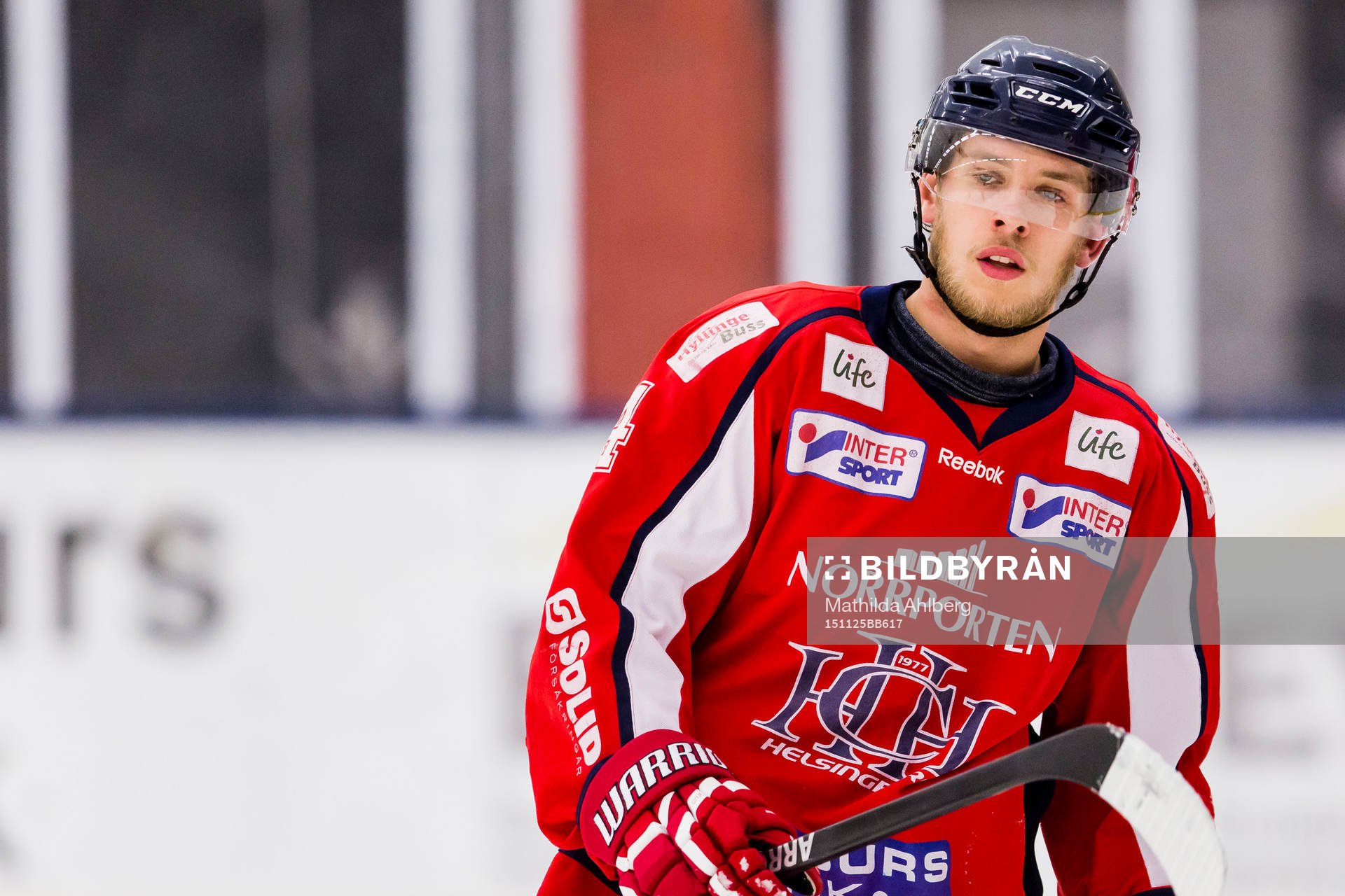 Helsingborgs Anton Sjöstrand