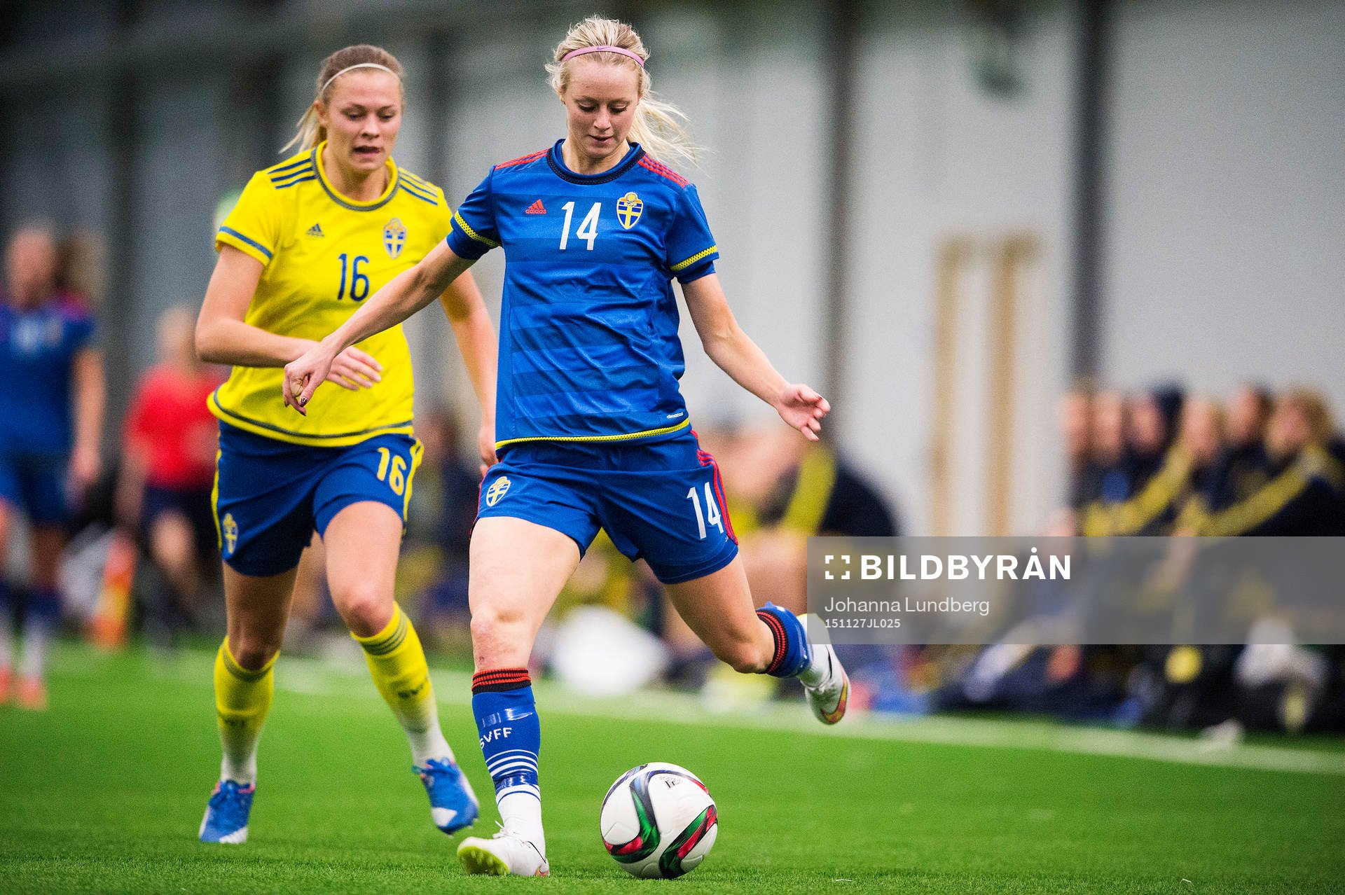 Fridolina Rolfö, gul, och Amanda Ilestedt, blå