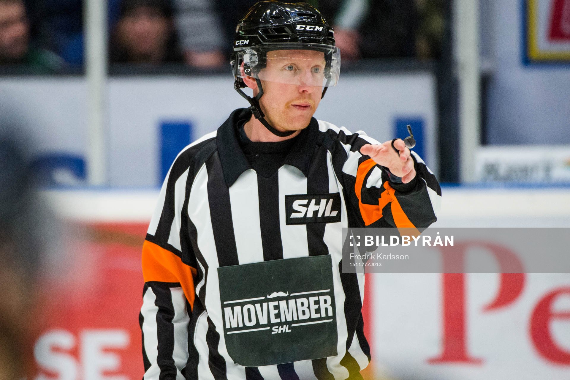 Domare Mikael Holm
