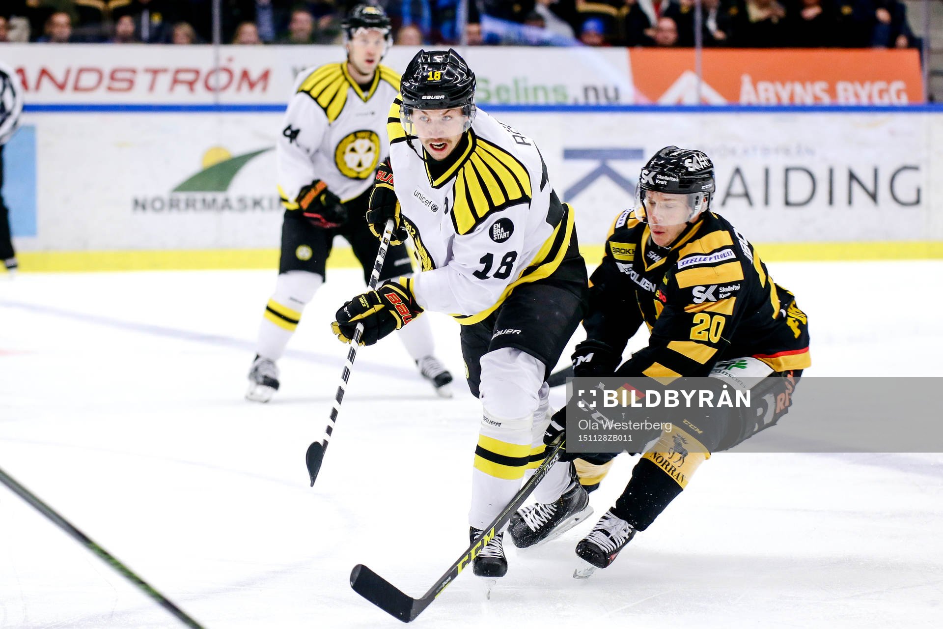Brynäs Anton Rödin och Skellefteås Erik Forssell
