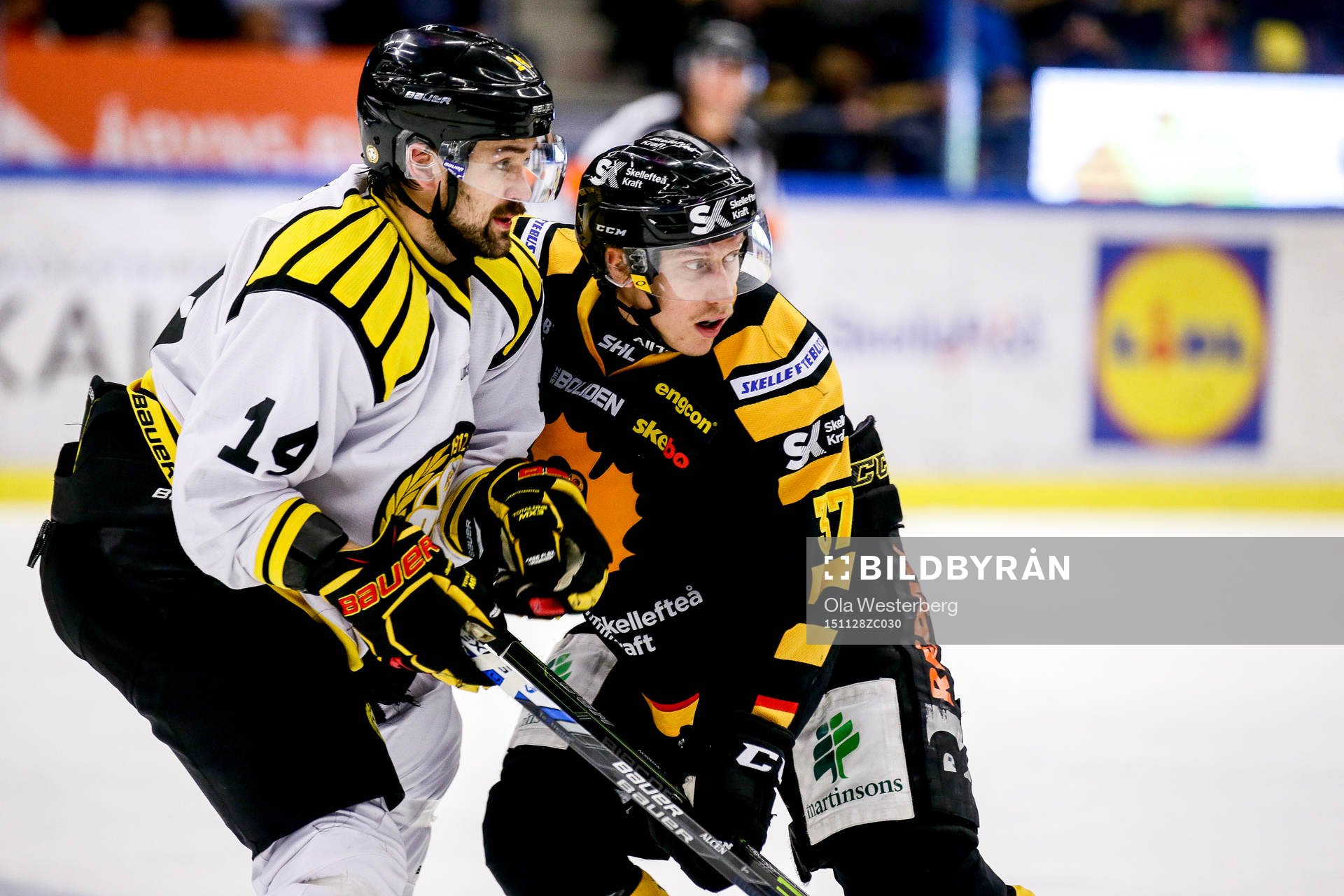 Skellefteås John Norman