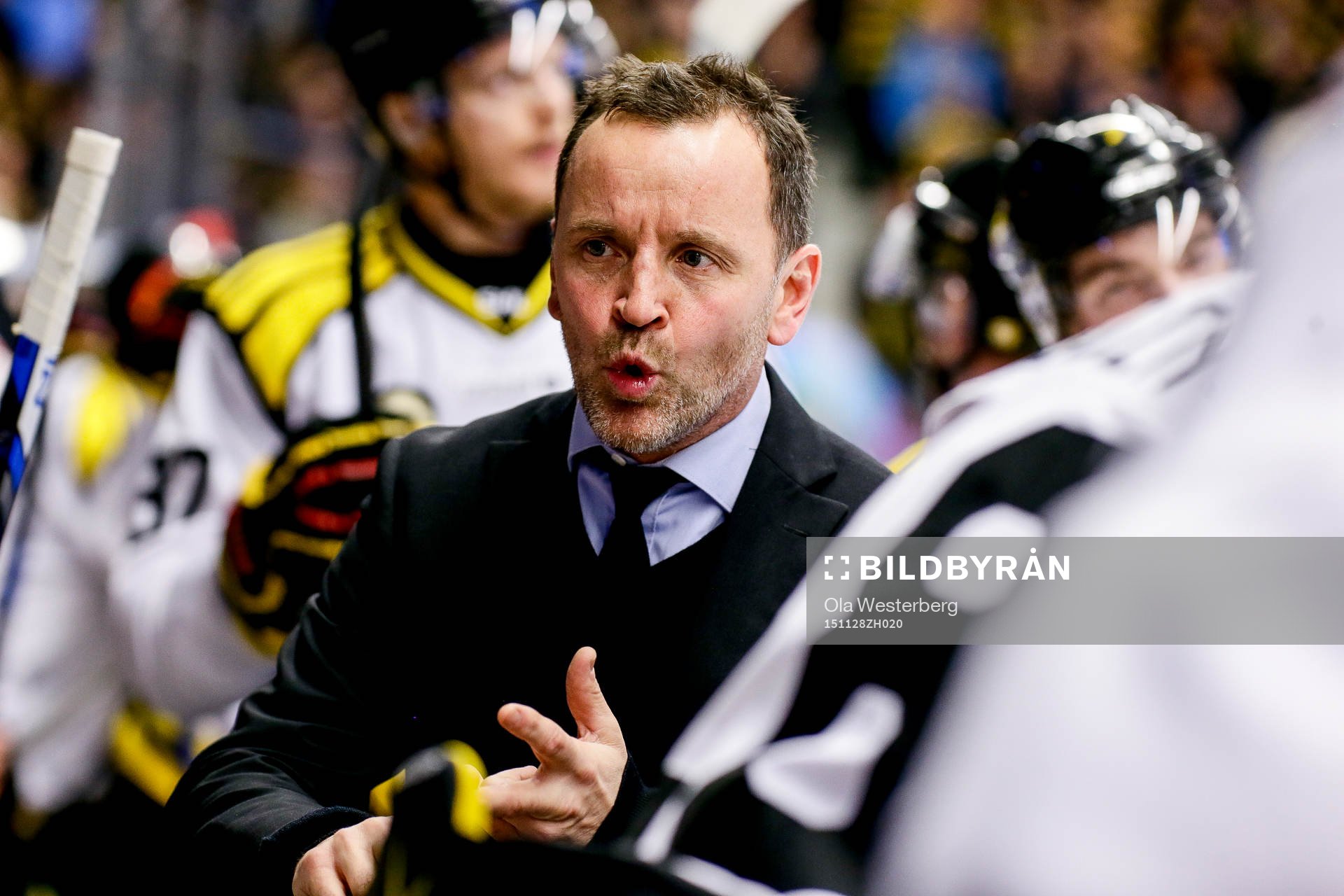 Brynäs tränare Thomas Berglund