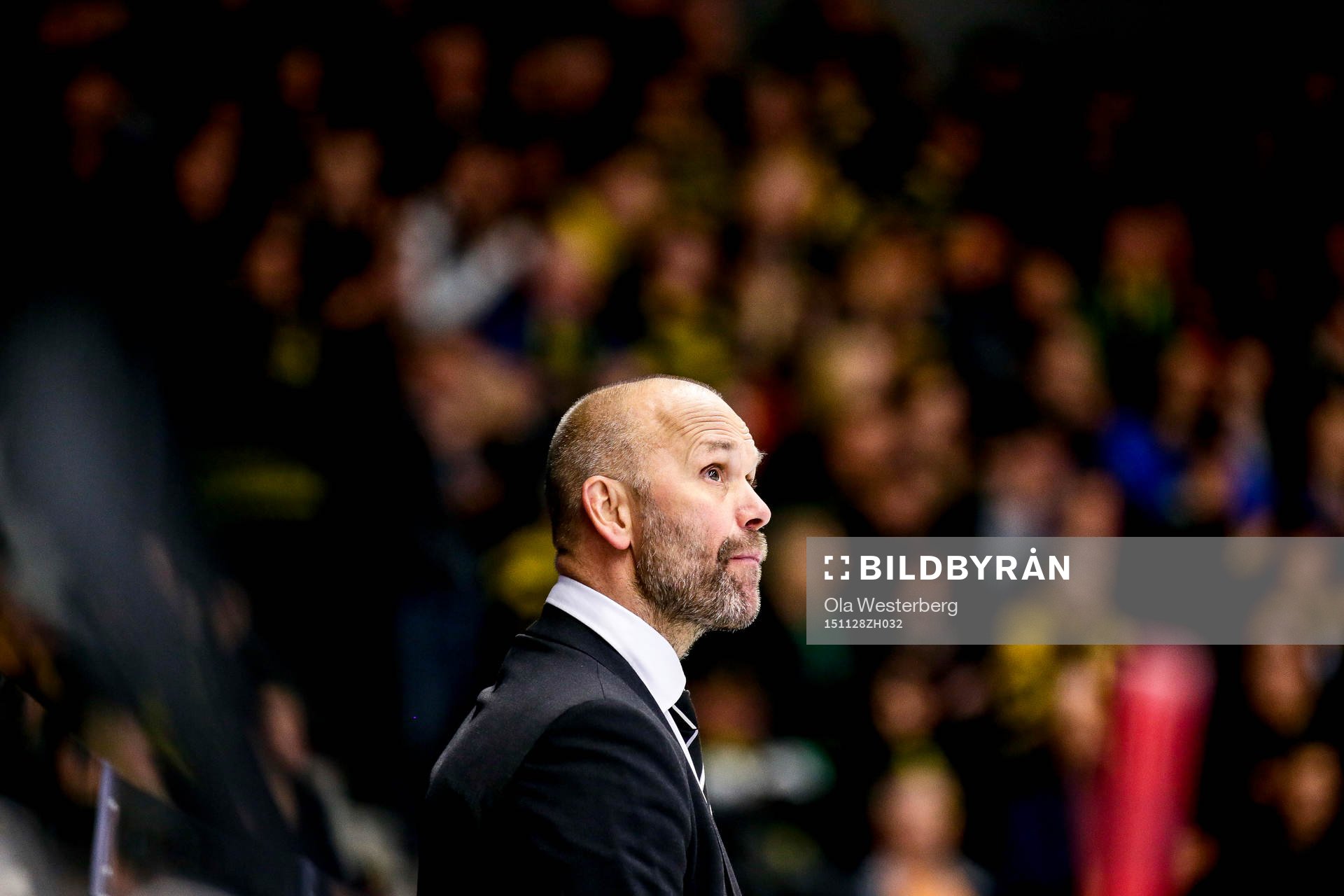 Brynäs assisterande tränare Tommy Sjödin
