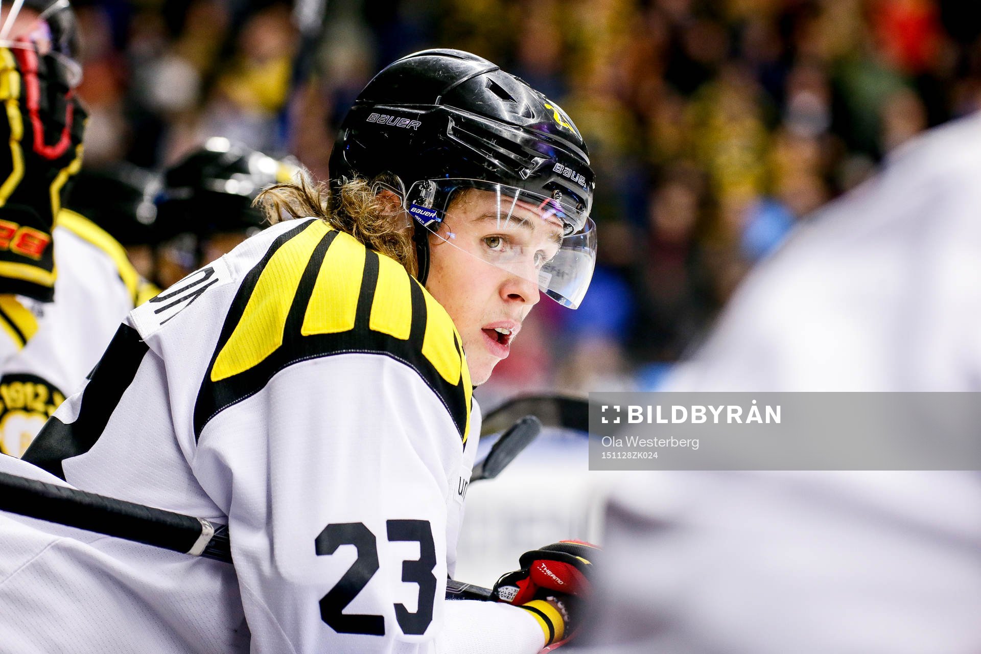 Brynäs Lucas Carlsson deppar