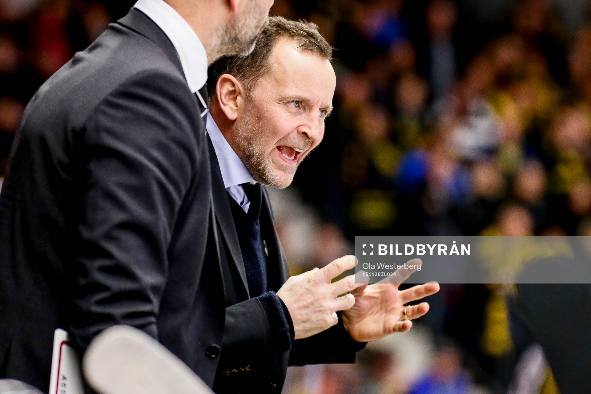 Brynäs tränare Thomas Berglund och assisterande tränare