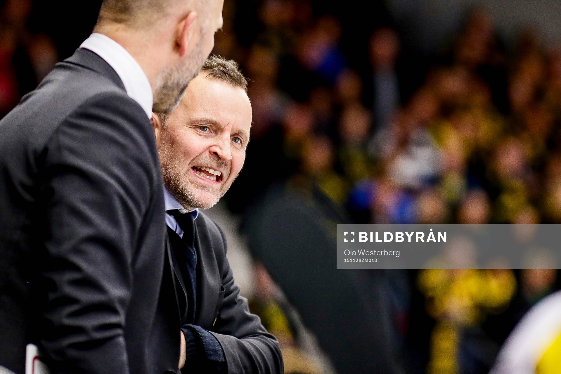 Brynäs tränare Thomas Berglund och assisterande tränare