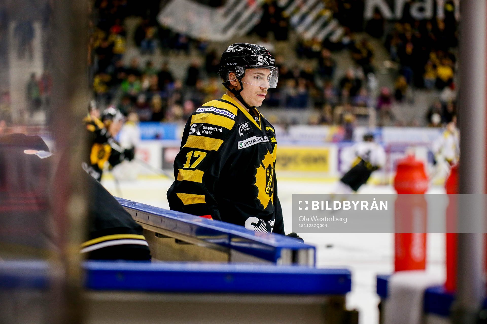 Skellefteås Pär Lindholm